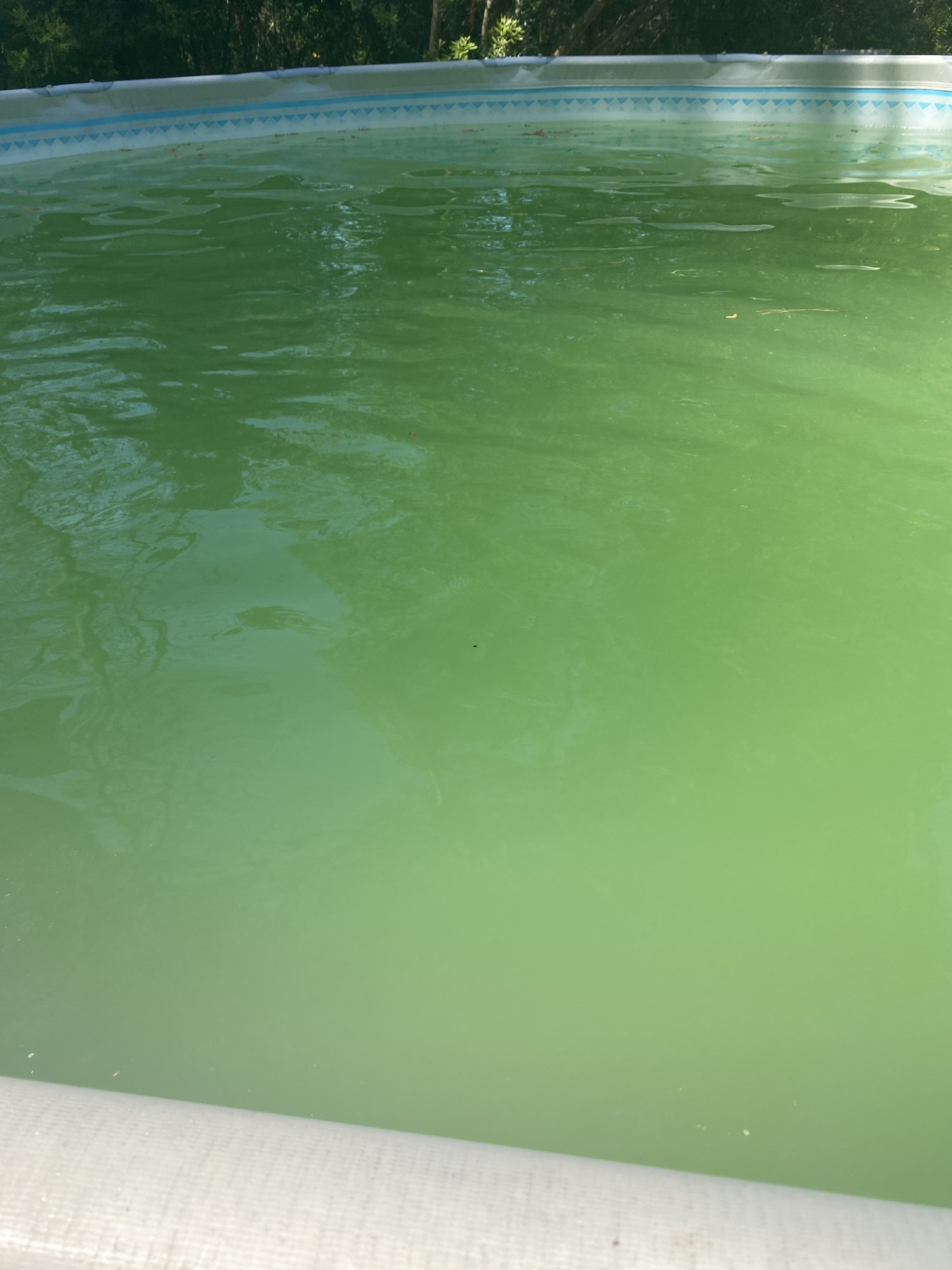 08BF2ABF-F049-47BC-A873-7BF634D130C5.jpeg