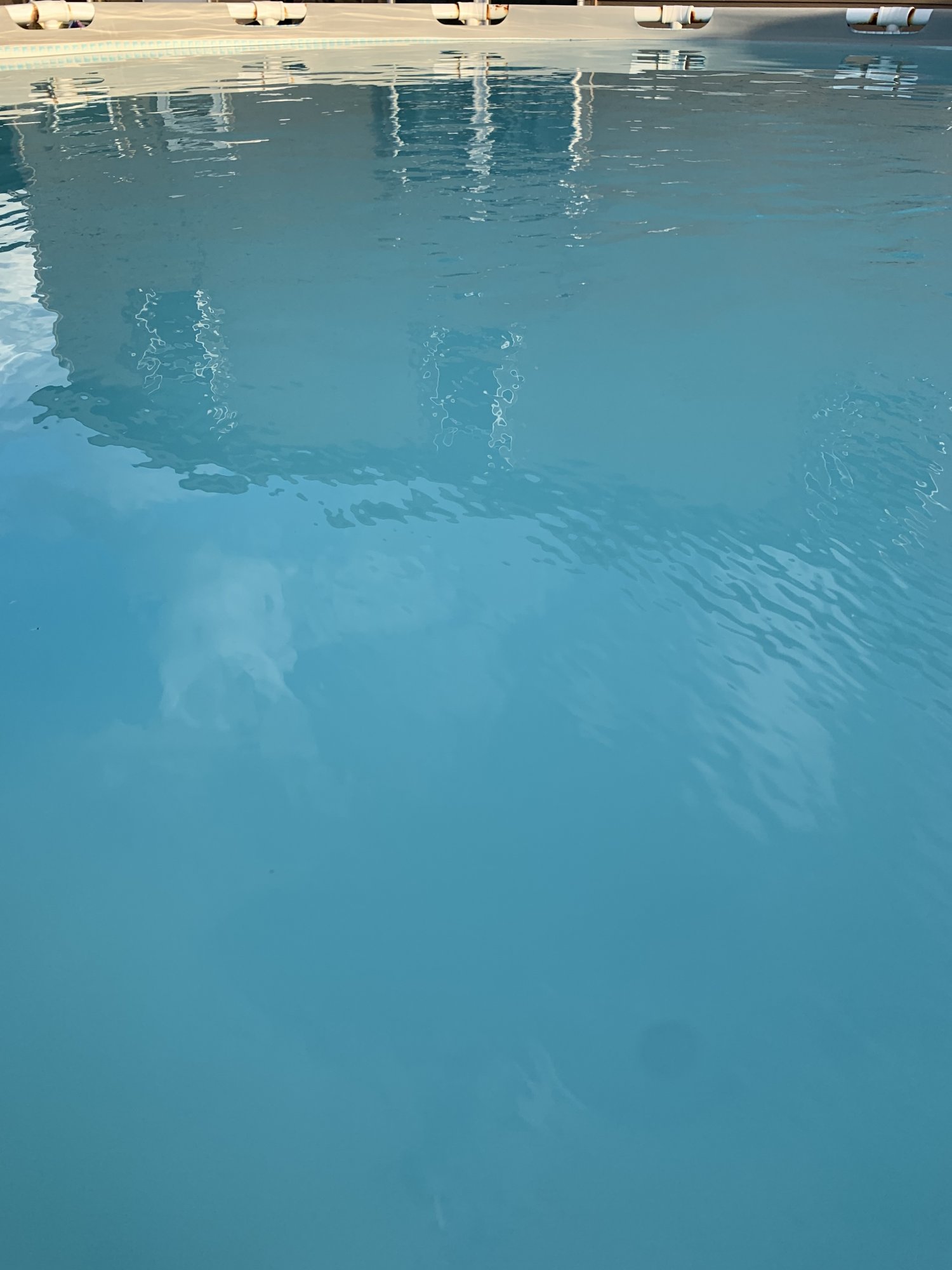 08C88345-3AD6-410E-B7AA-B7AE96882D06.jpeg
