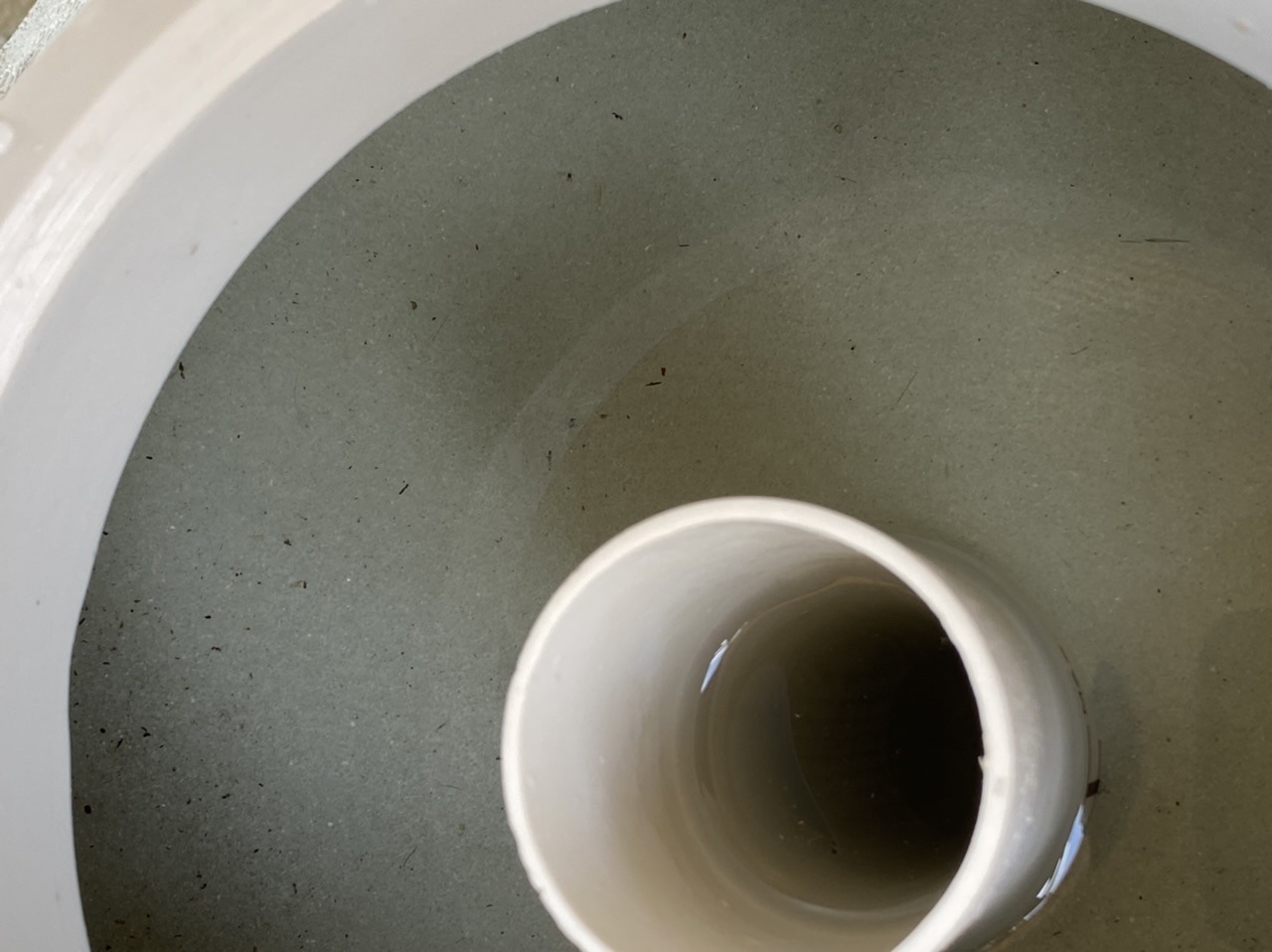 09D13034-0CAF-4D66-A644-6C0905D98528.jpeg