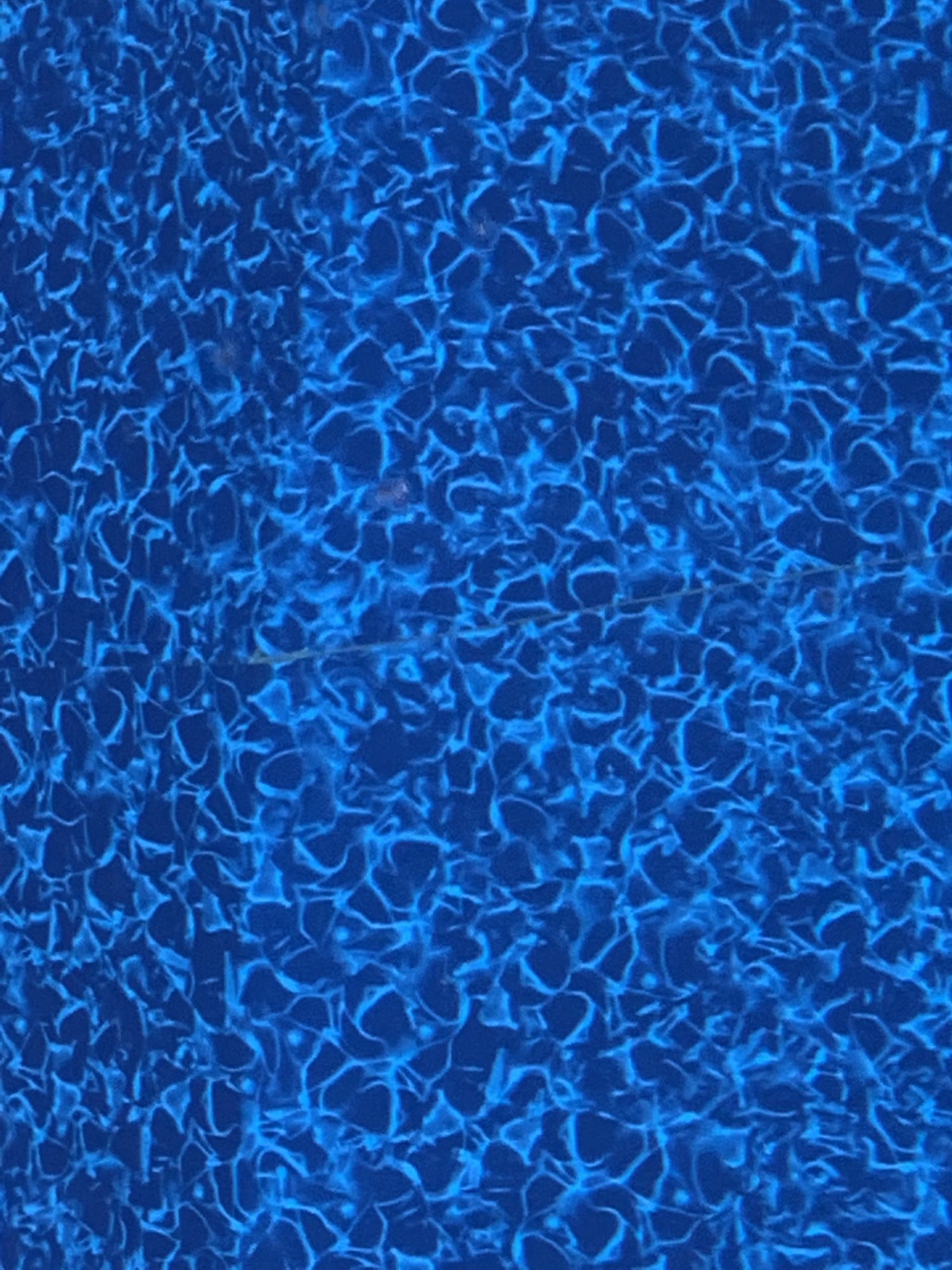 0AFEB59A-E697-414B-9BC0-C945A52C1912.jpeg