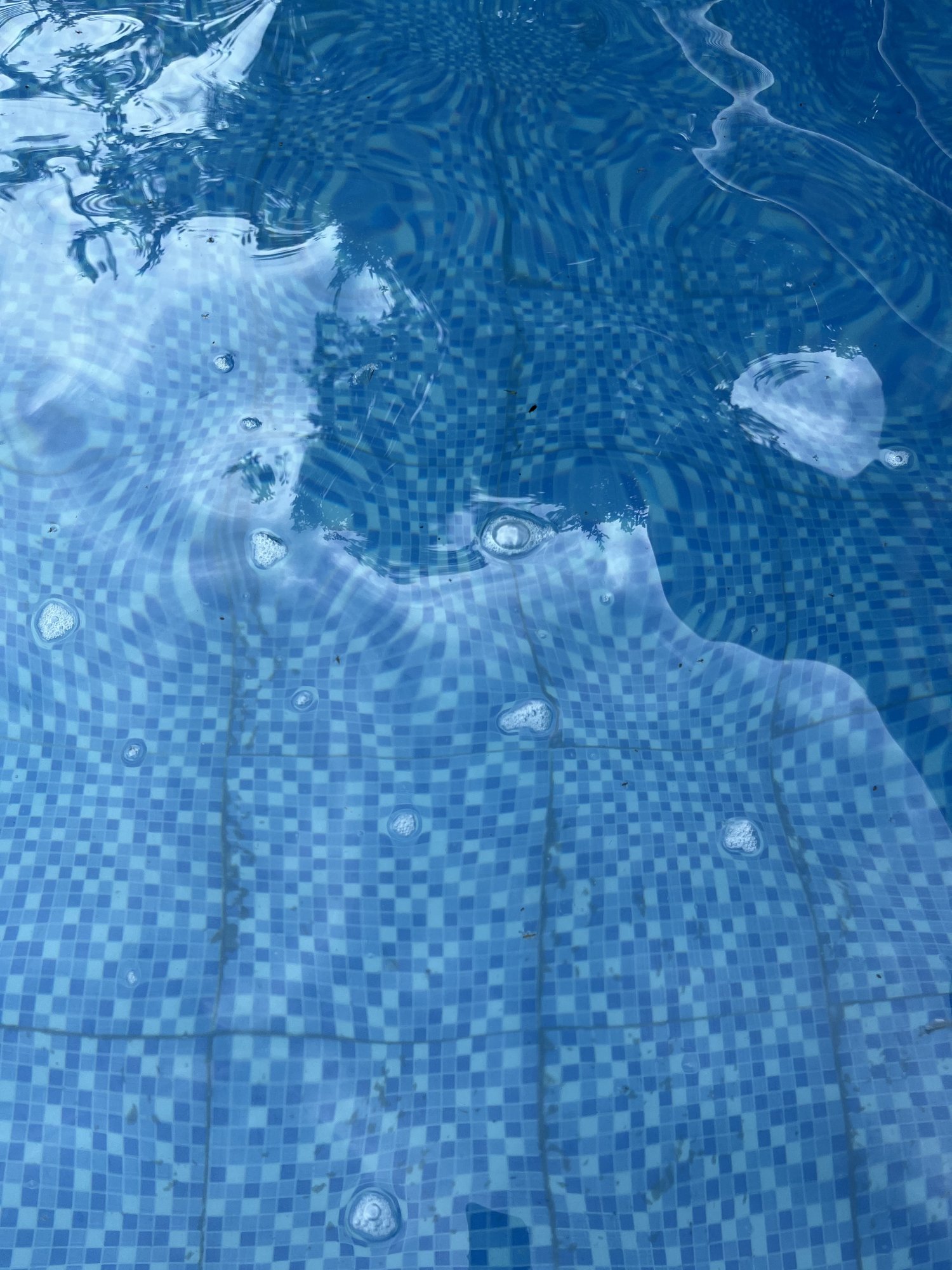 0C954814-09F3-4E6C-8BB8-A13BE174CEFC.jpeg