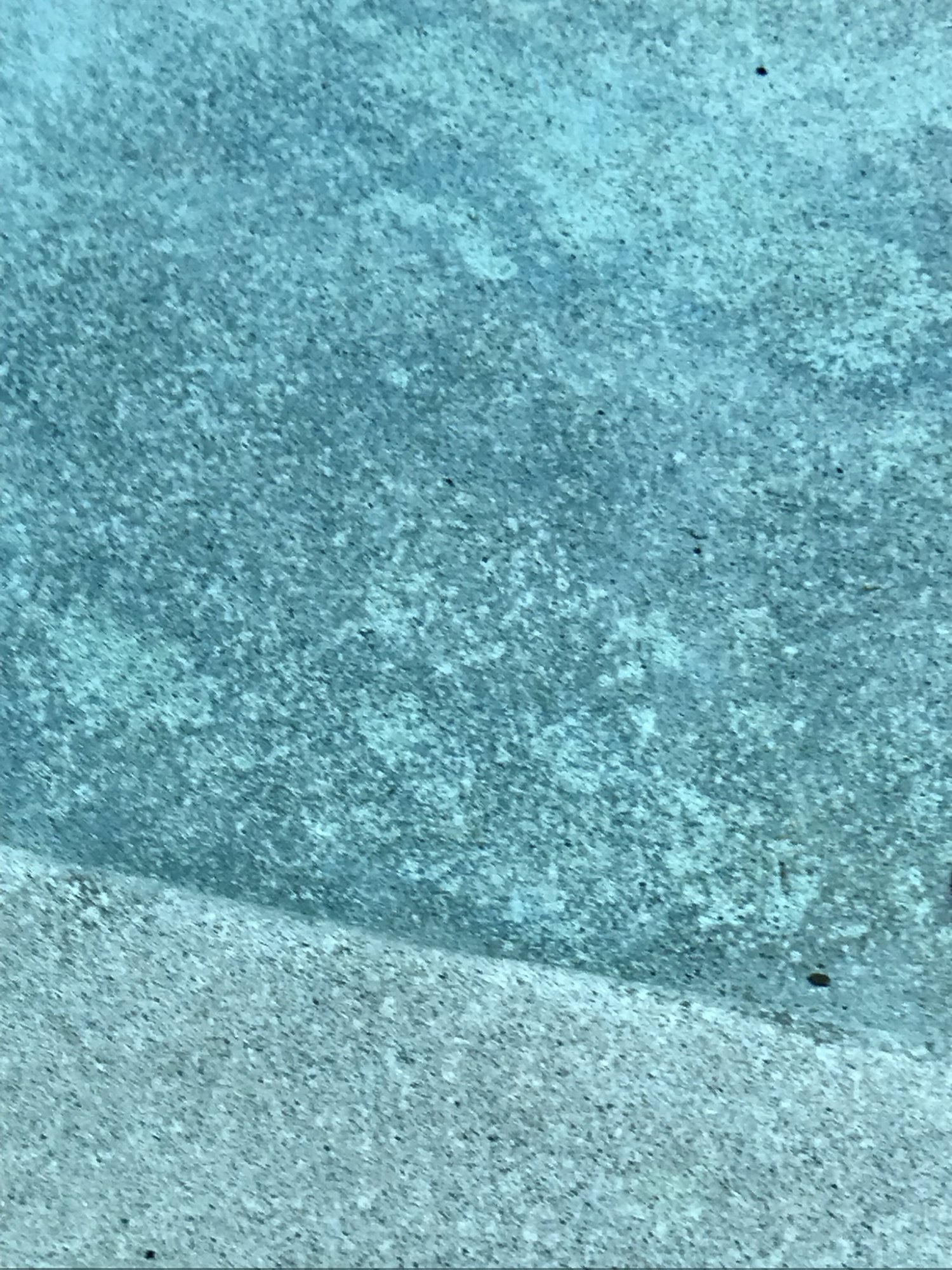 0E4B3846-76AA-443A-A603-87B828E659D0.jpeg