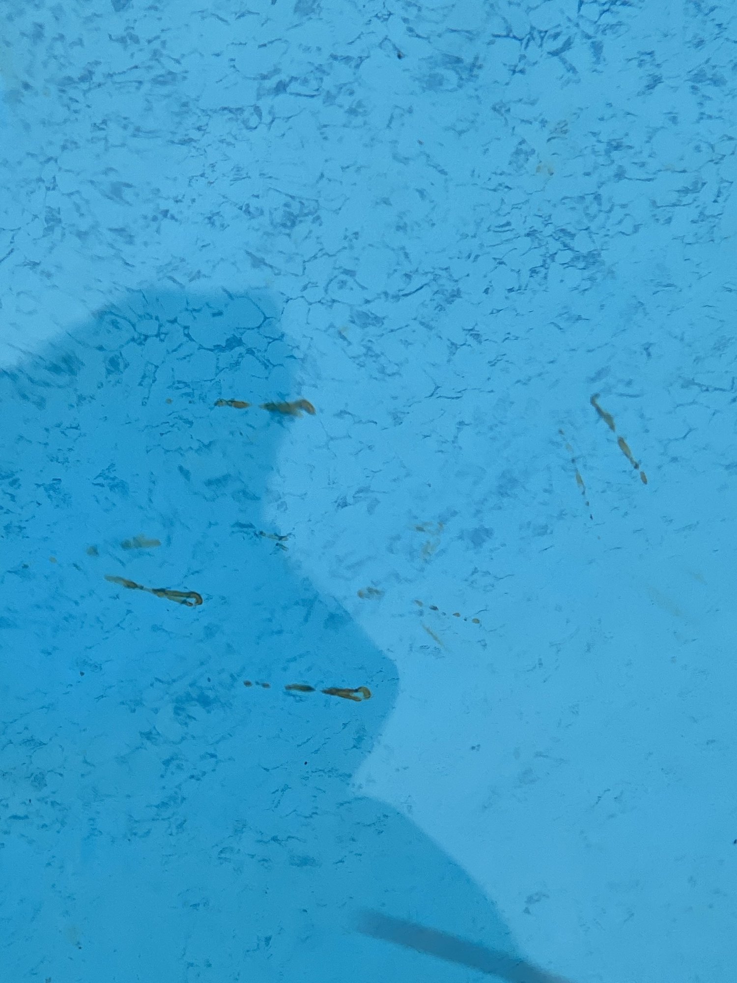 0EB14251-760E-49A2-B2E3-F0759256B6EA.jpeg
