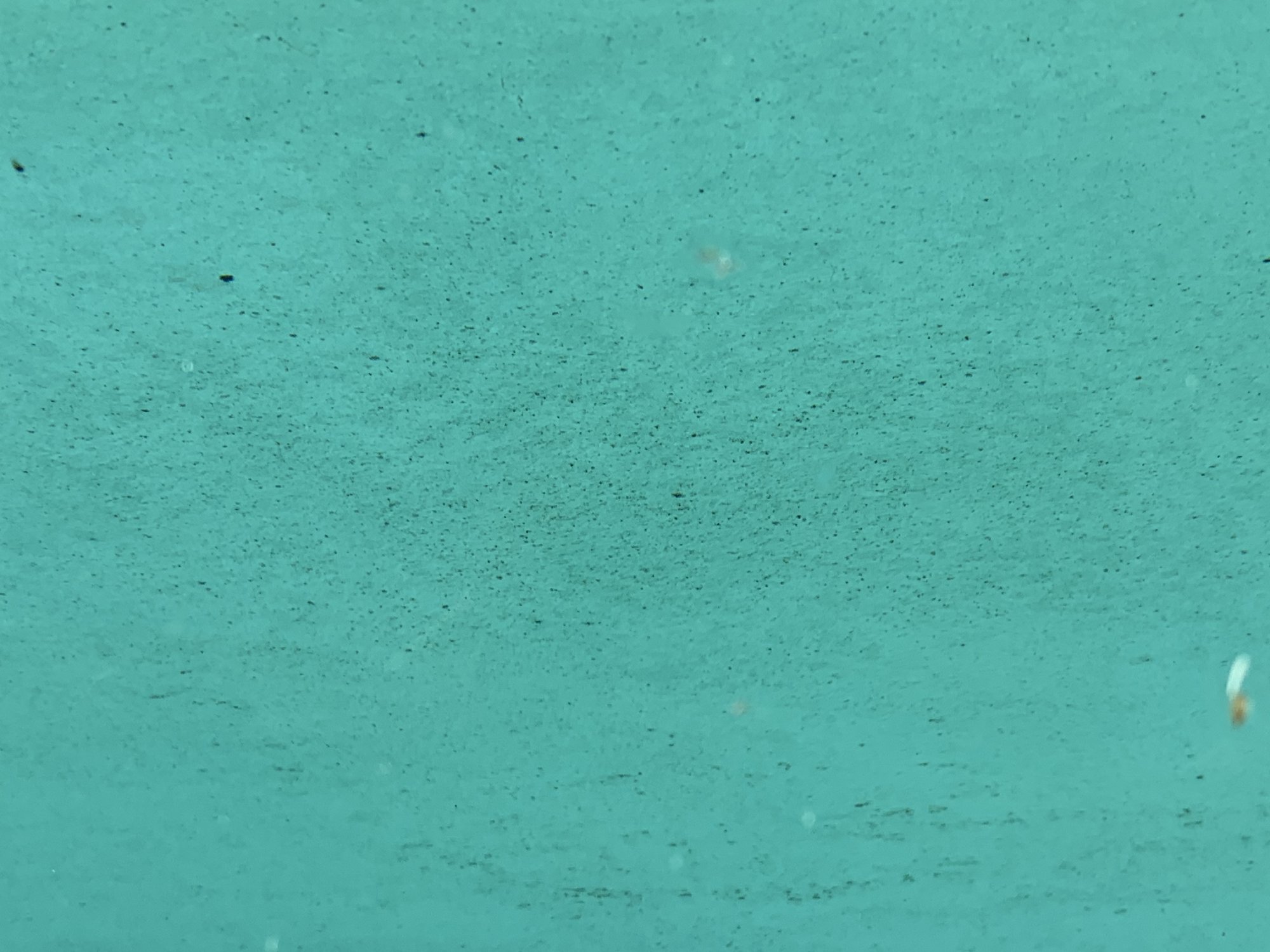 0ECAC197-1936-42AB-A006-79D6396CF2A3.jpeg