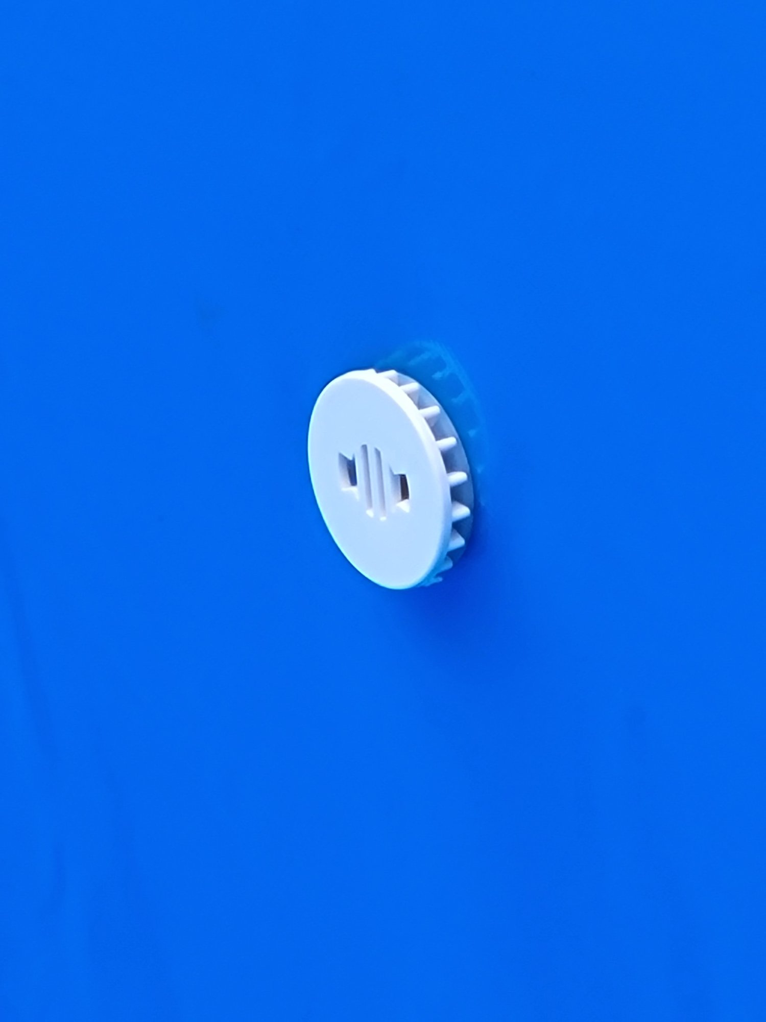 1000010701.jpg