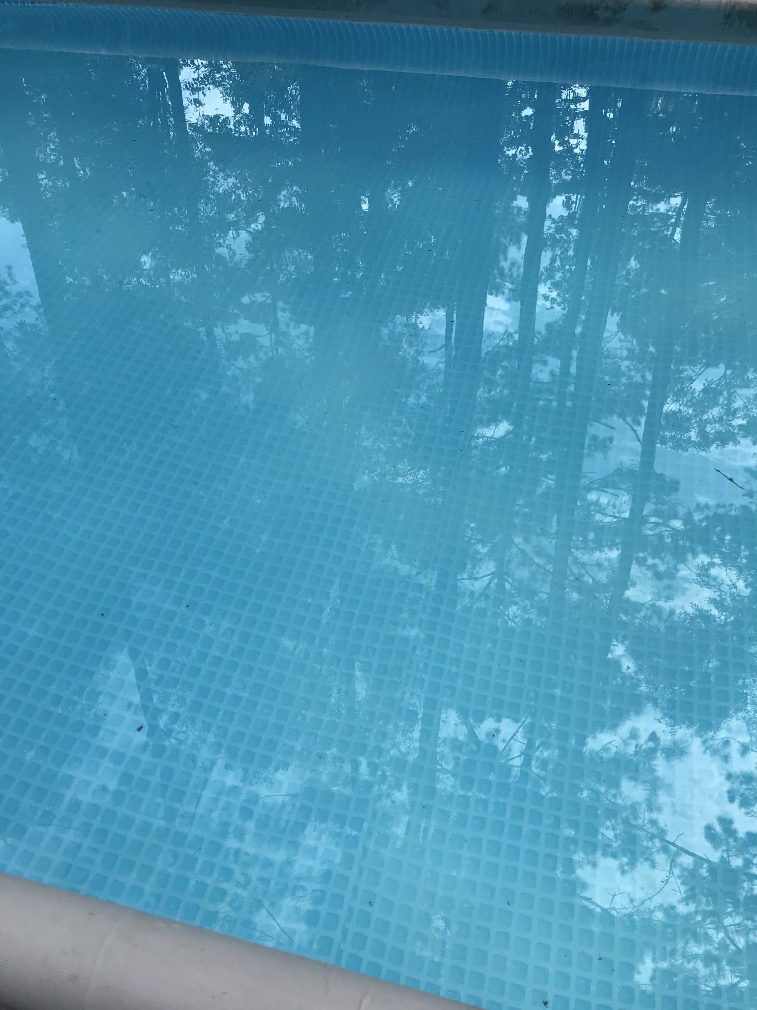 10368355-F3EA-4932-B837-9934394FF937.jpeg