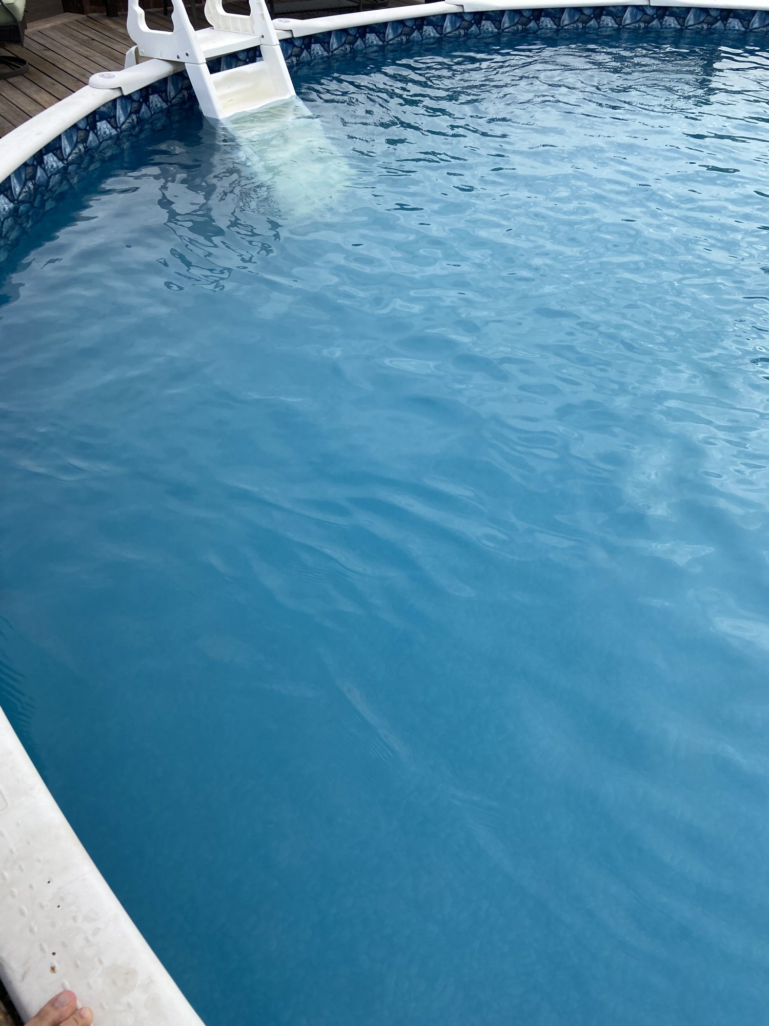 12397809-158D-4EF3-A462-CA6F8B17ADD8.jpeg