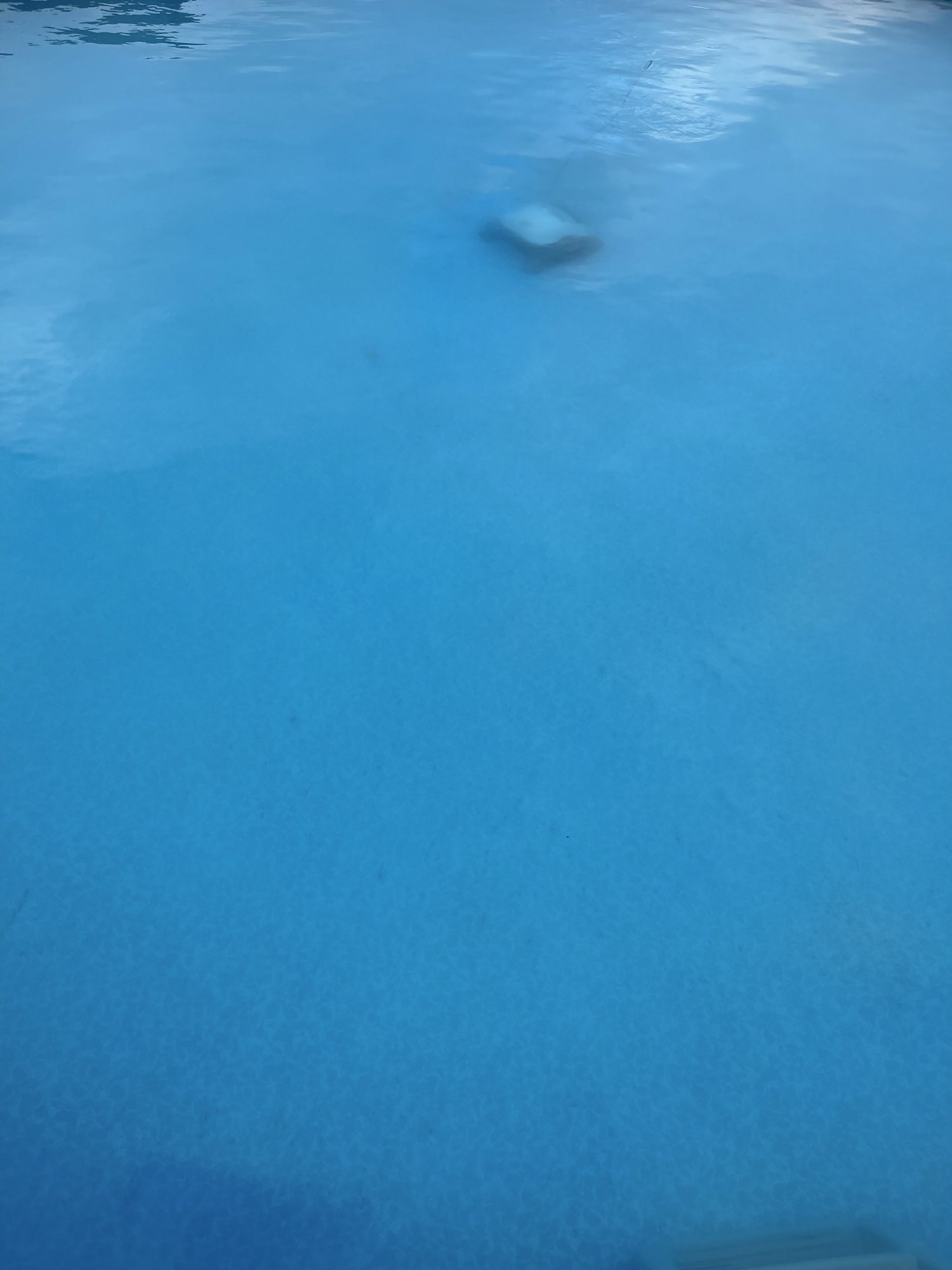 12568C34-C3E1-401D-8716-87275C8D780F.jpeg