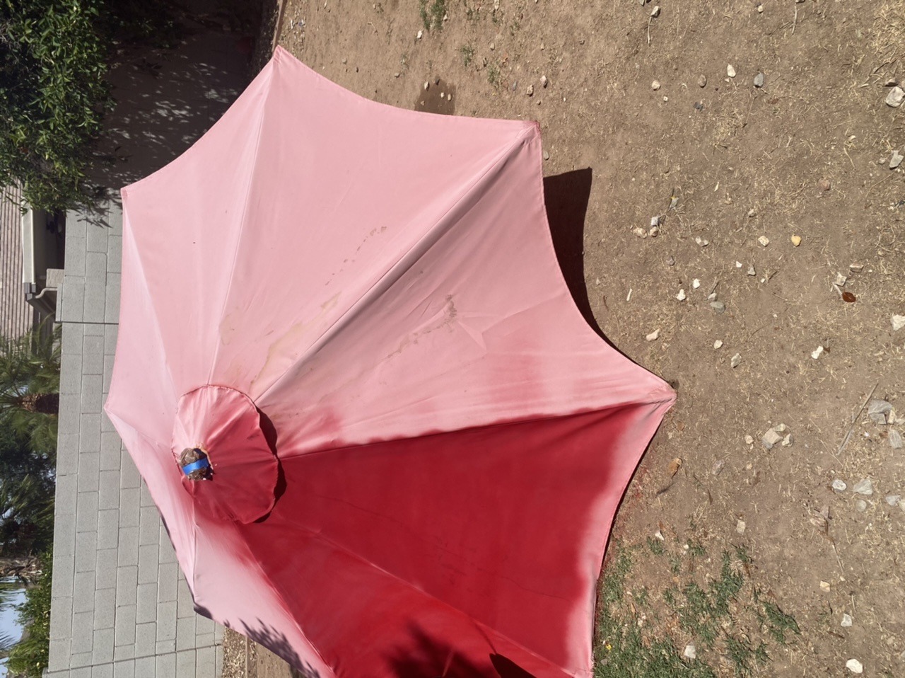 12796806-3AFA-4600-9F99-FF6A0BECF4D8.jpeg