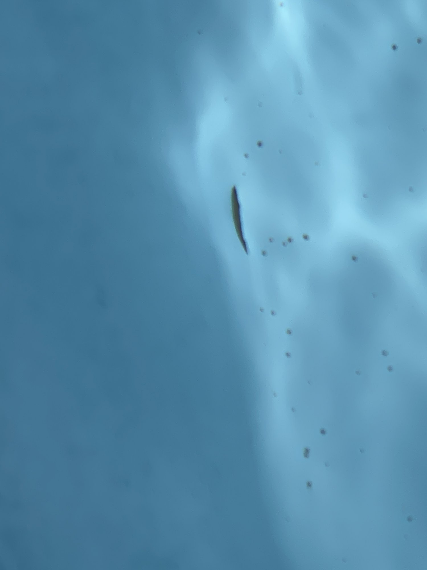 134B82AE-CC77-4FEB-9598-E6BE9EE4C85C.jpeg