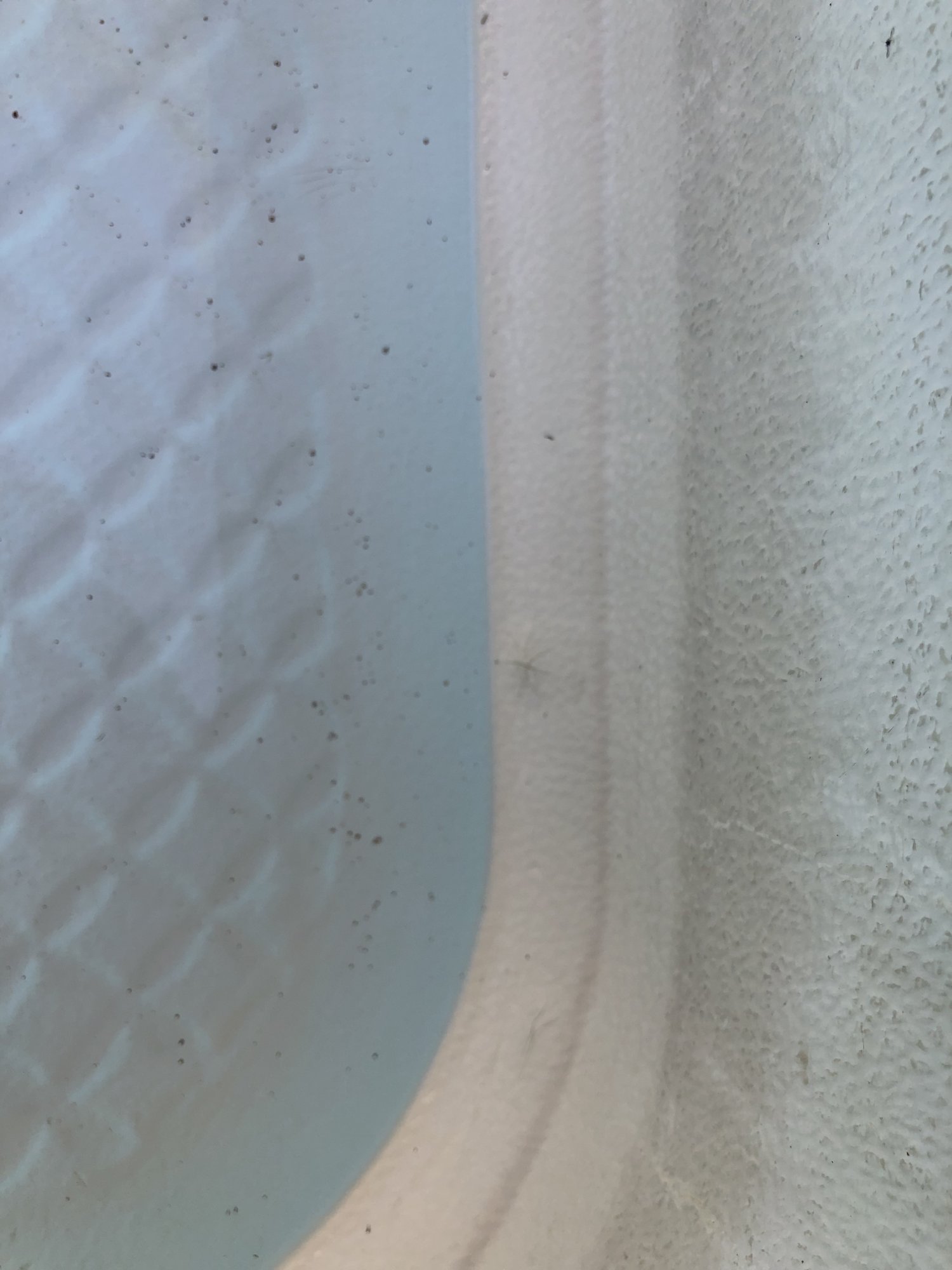 137DF83A-A408-4D49-BB57-9C80C2612538.jpeg