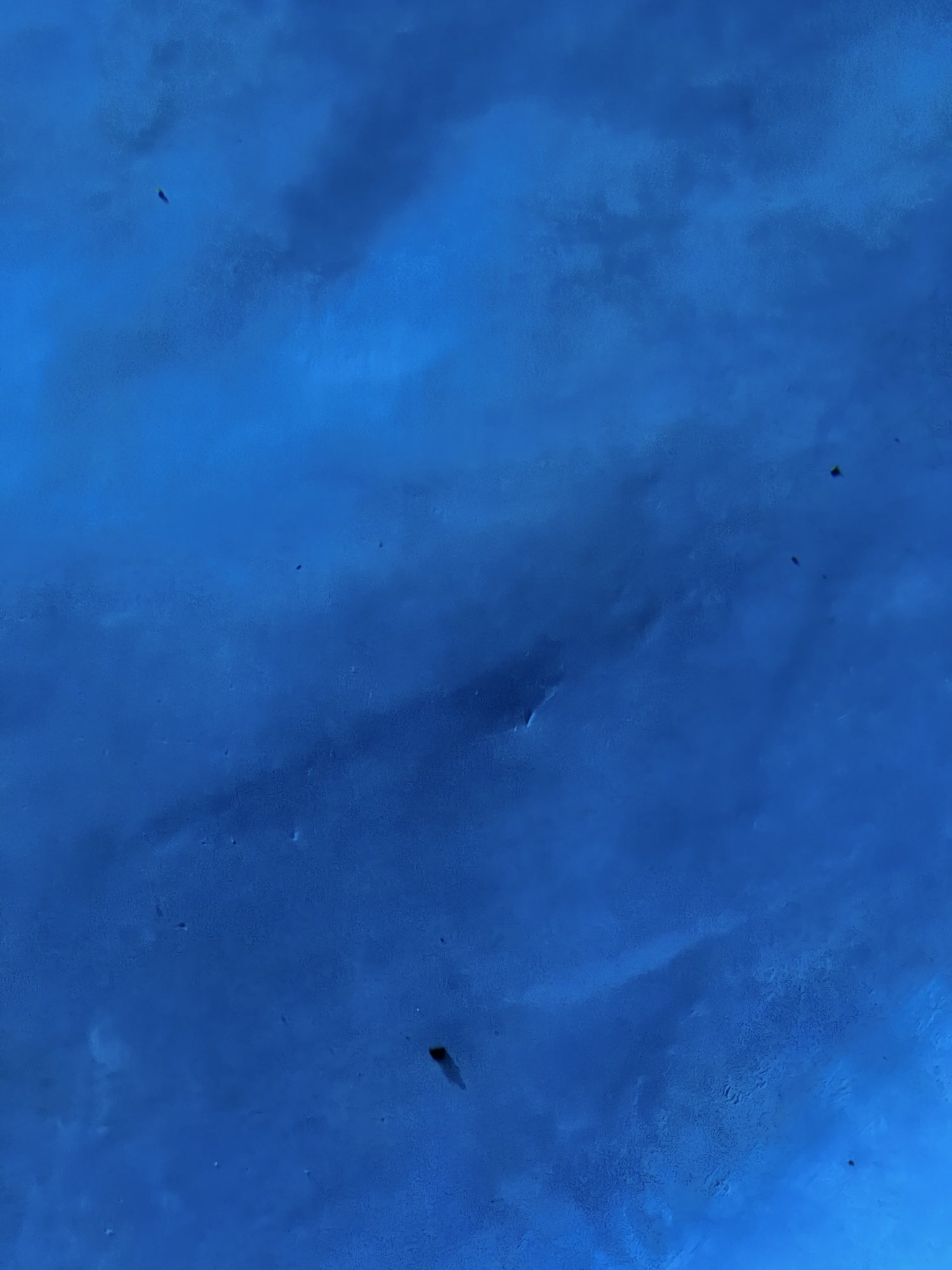15359C28-0EF1-4607-8991-553EC21F3FF5.jpeg
