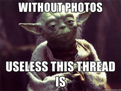 1551824004039.png