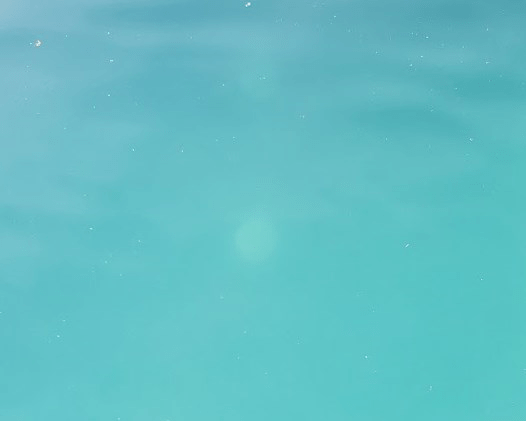 1588597732755.png