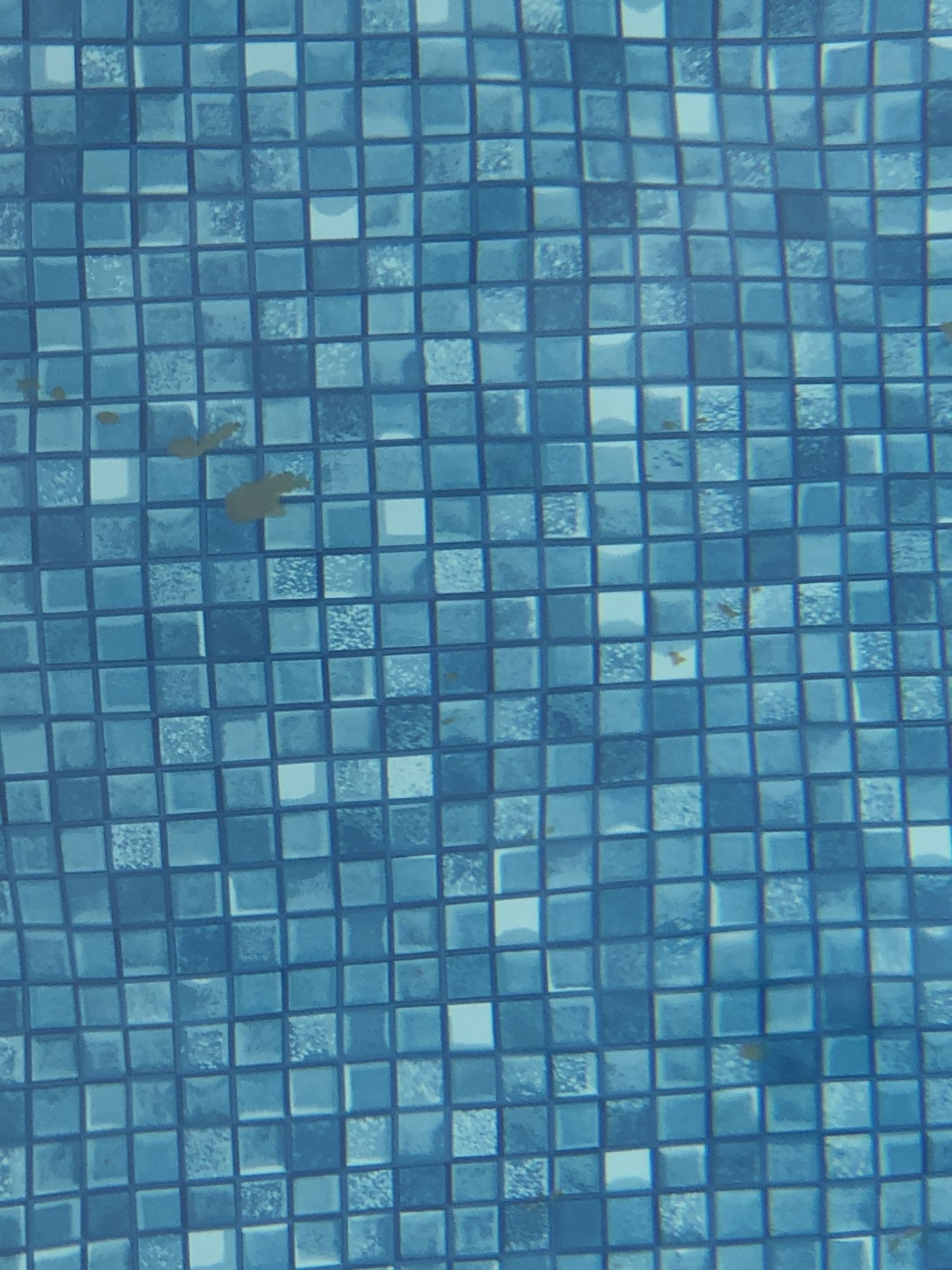 16D90D7F-F203-48F9-BEEB-D2A1393FC2AA.jpeg