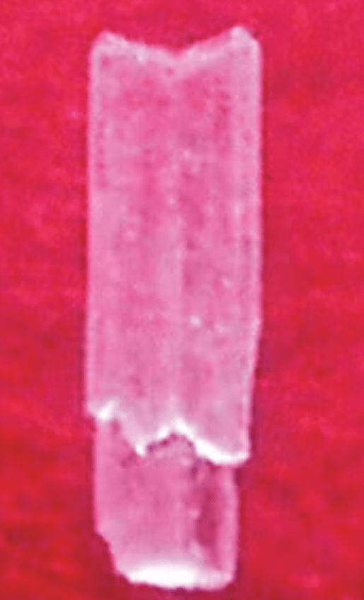 1708291297769.png