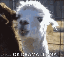 1720491482862.gif