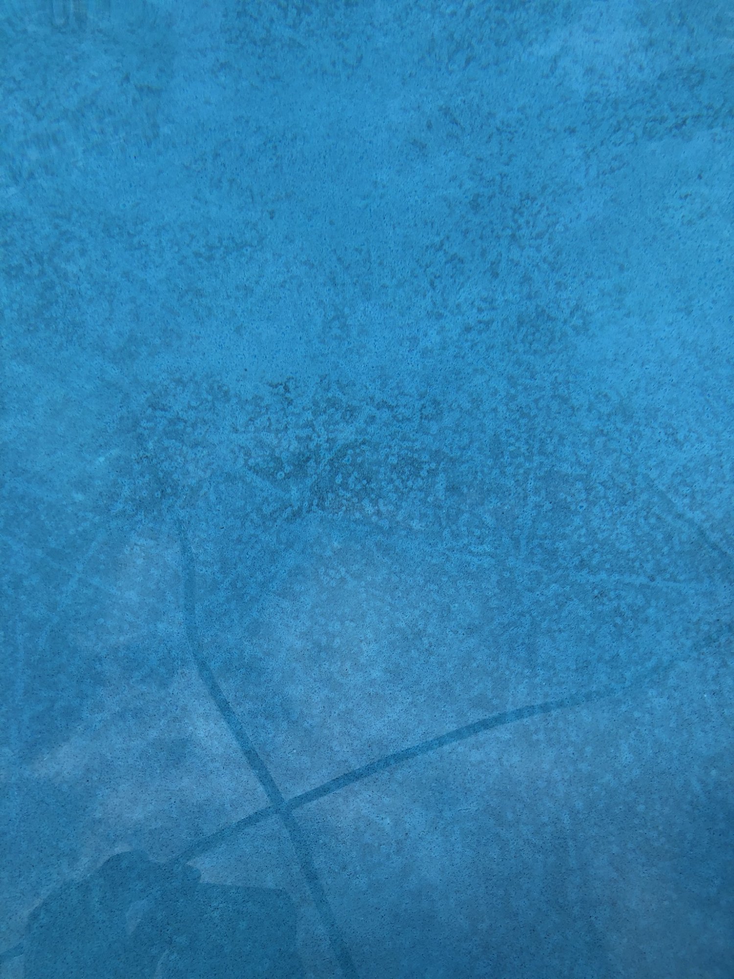 179A3891-043C-401F-B5E7-2B5FA92AC07F.jpeg
