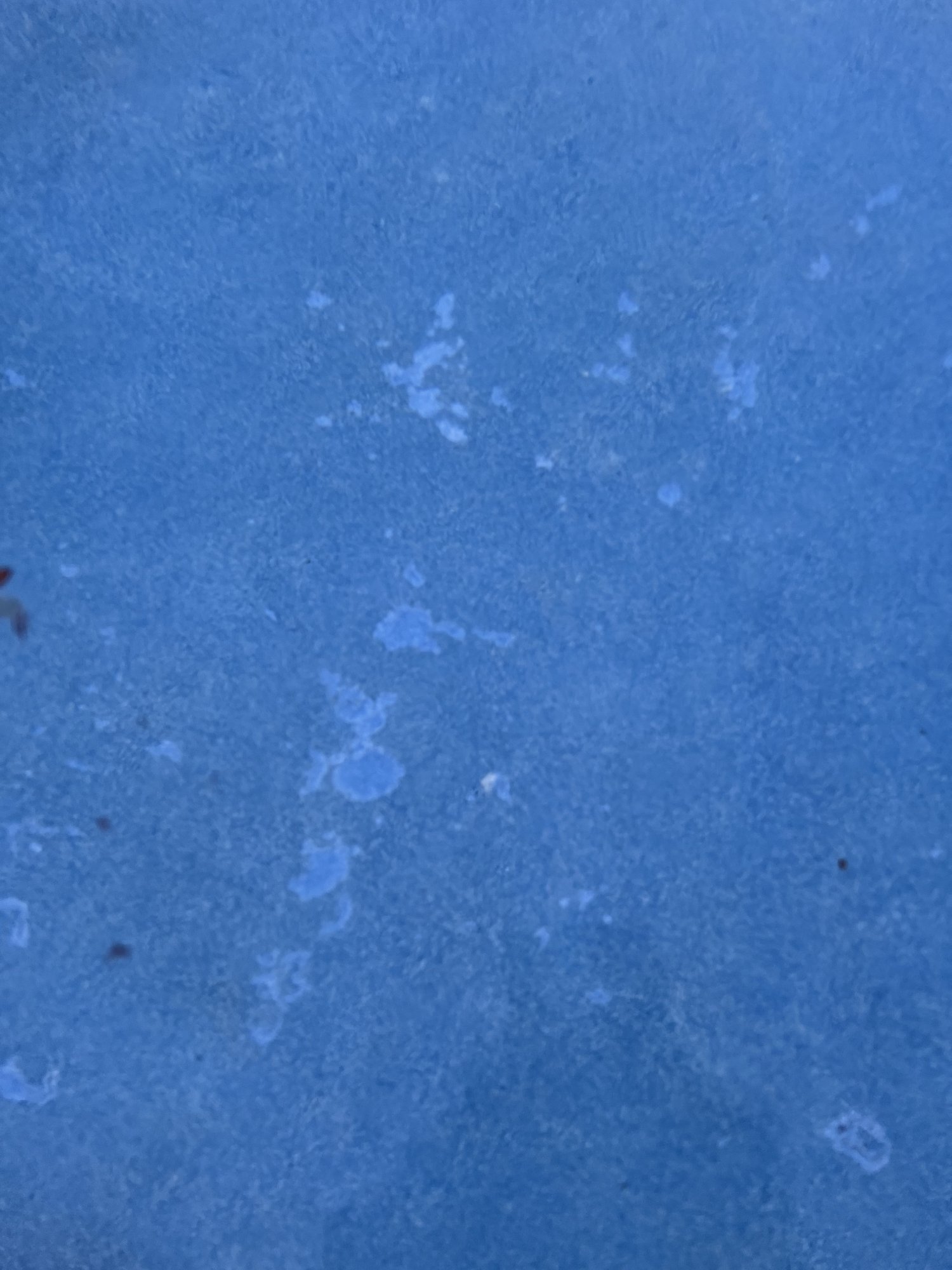 1859BA83-1D1D-455B-AEC4-190912CF6394.jpeg