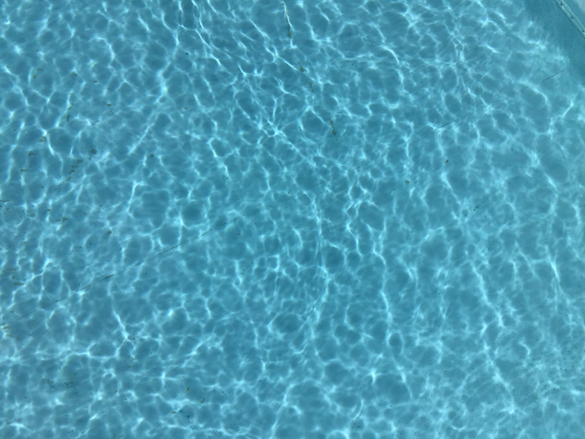 18B186BA-051C-4C11-A37D-E4D6826FD1E2.jpeg