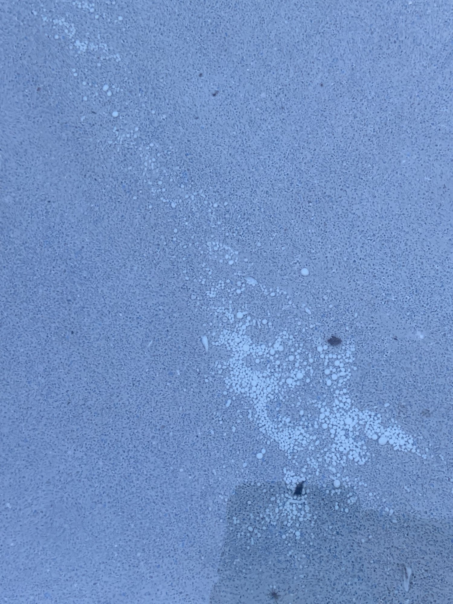 1_5_Precipitate.jpeg