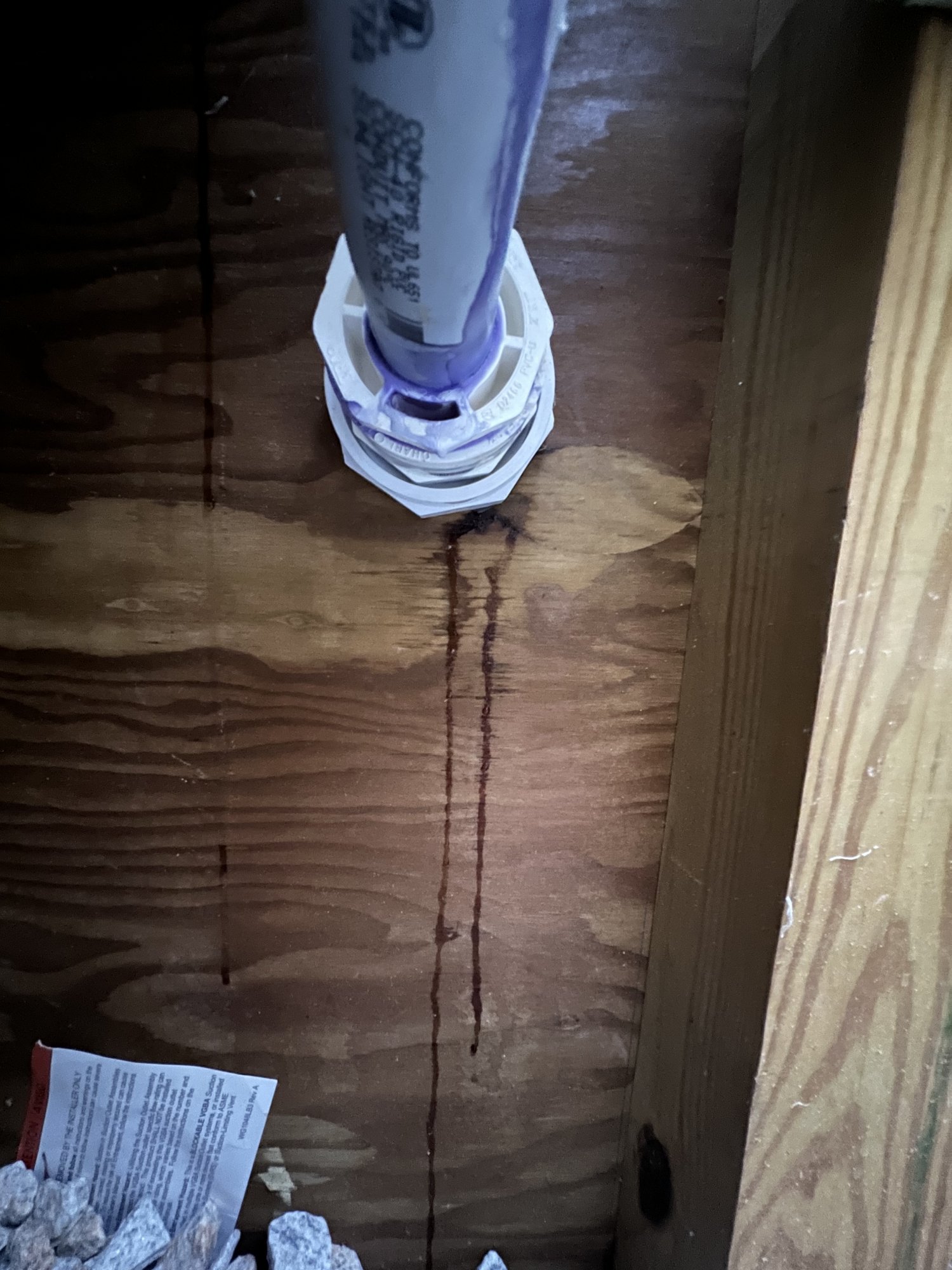 1B64F314-7E2B-4F9A-8EBA-62D4FA2490DA.jpeg