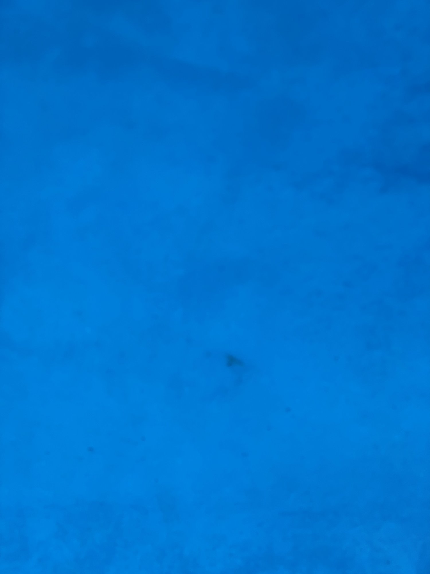 1D02575E-7378-4F38-831A-0BCF05135818.jpeg