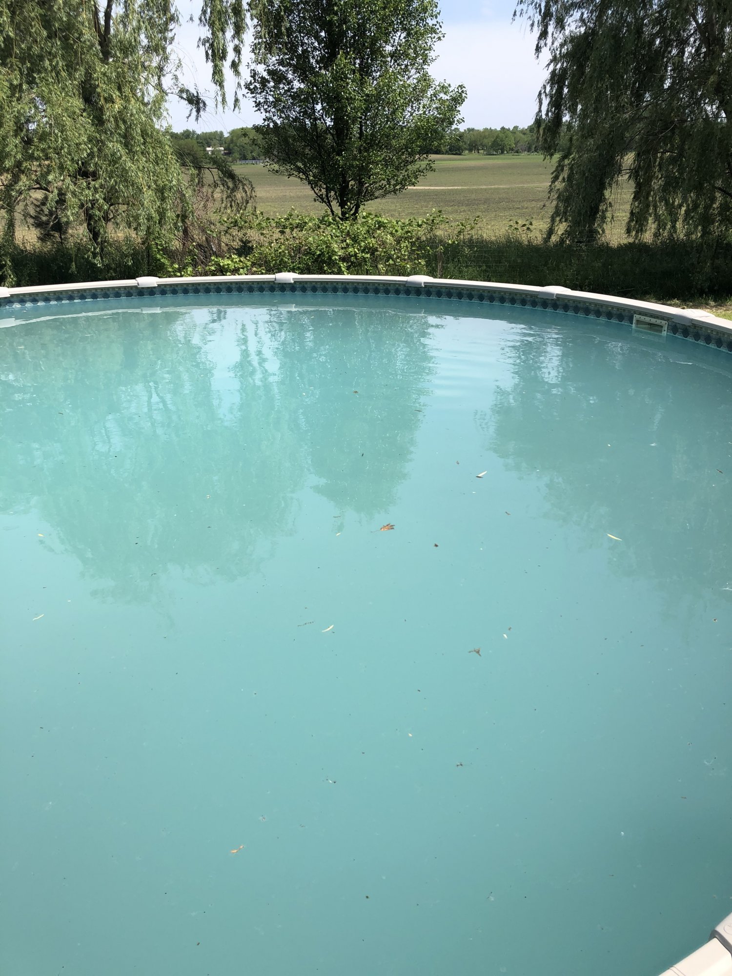 1DE98630-9E27-447E-8B05-3CE90F1AEE93.jpeg