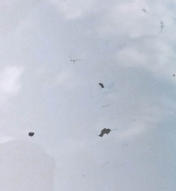 1E486E70-FD3A-48E9-AA29-564D55A7219E.jpeg