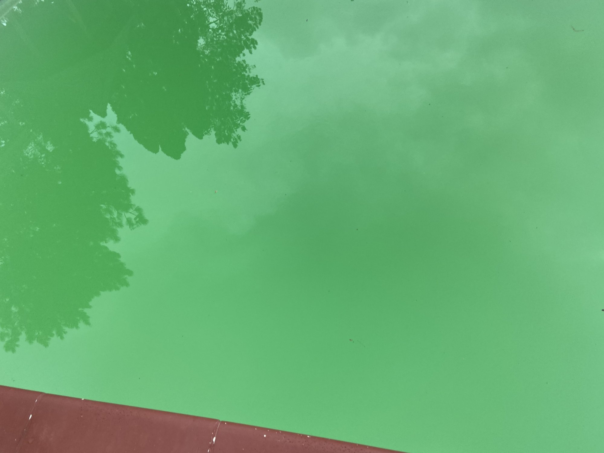 1ED5B8D6-DF64-4805-9124-1534D5E1E84D.jpeg
