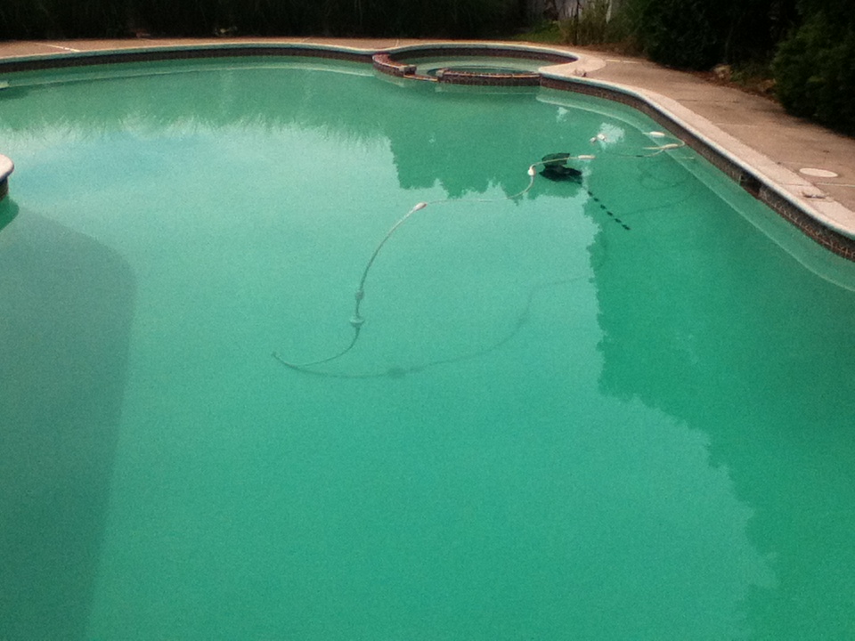 1st pool pic.jpg