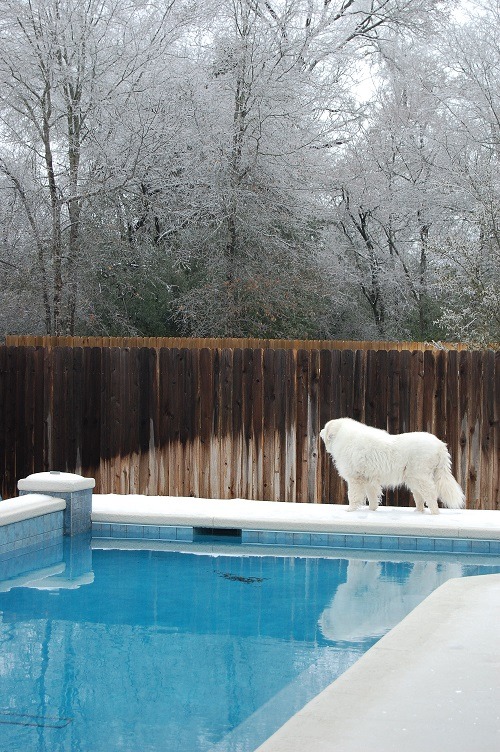 2-17-21-IceStorm.jpg