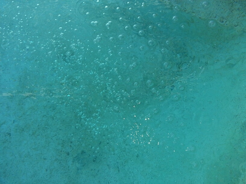 20131206_121807_resized.JPG