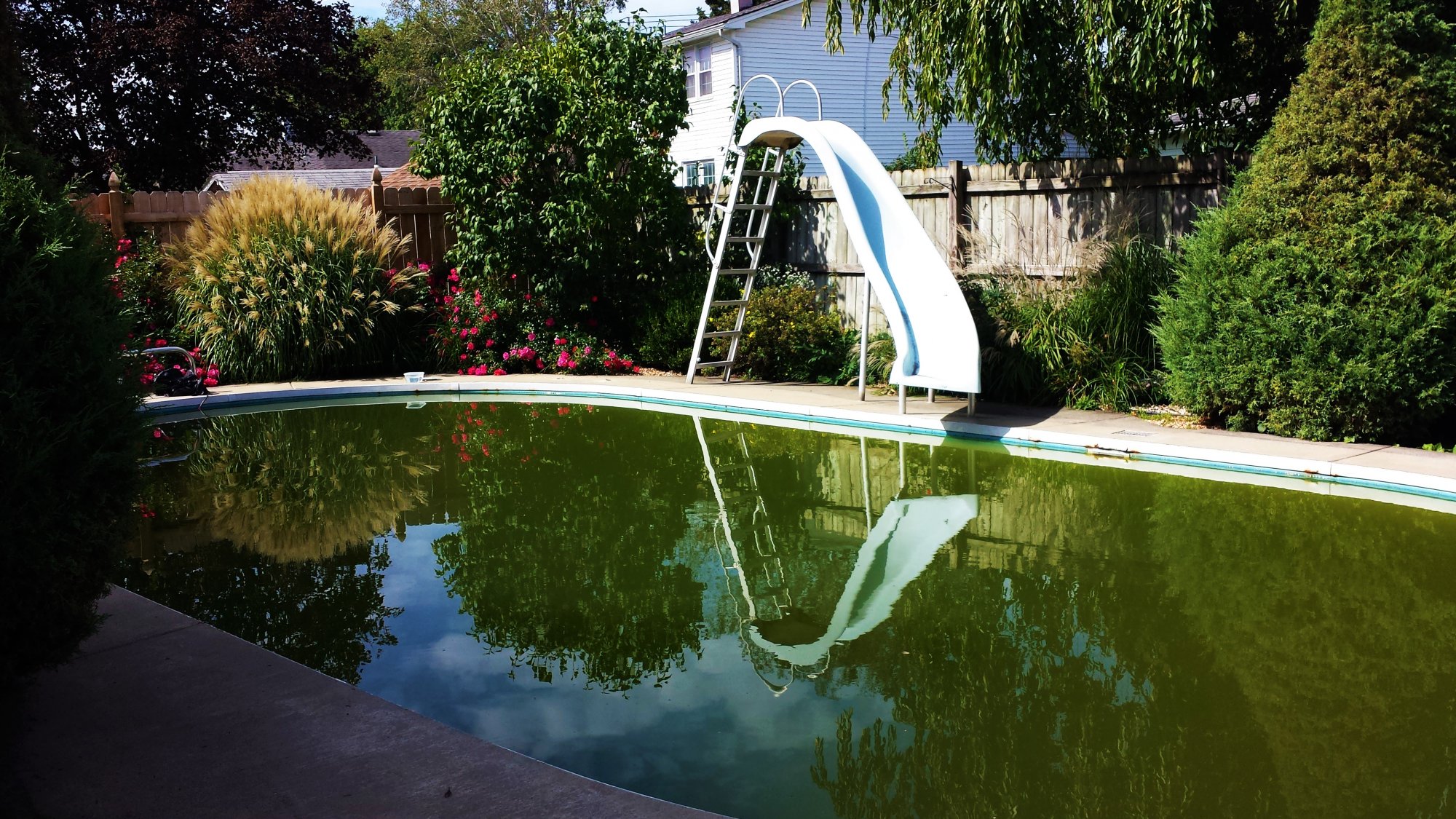 20140601_193739.jpg