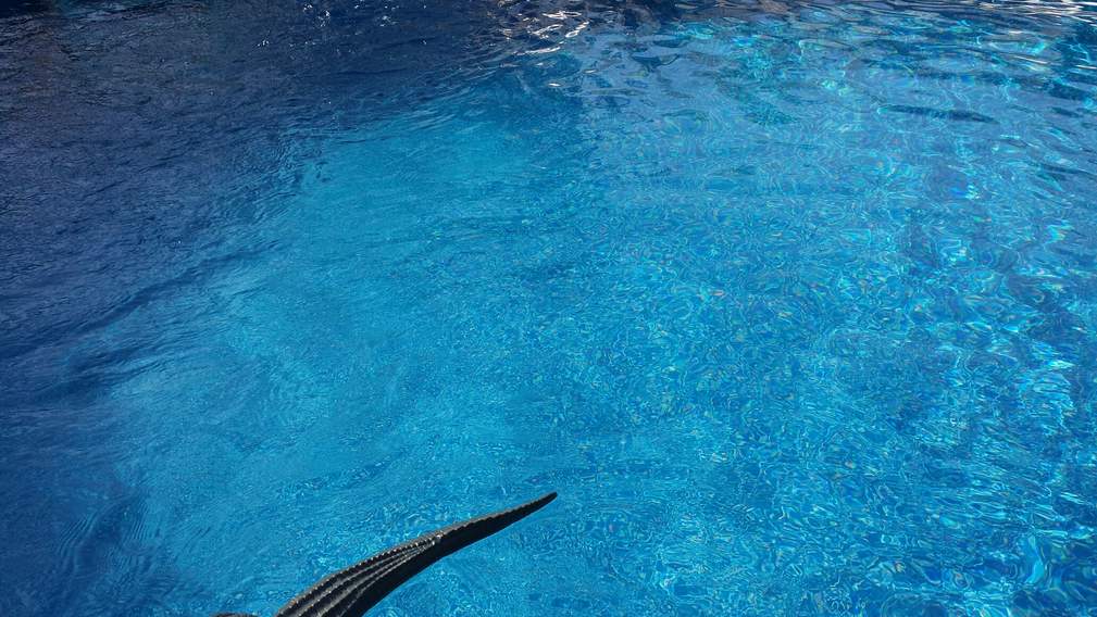 20150513_164543_resized.jpg