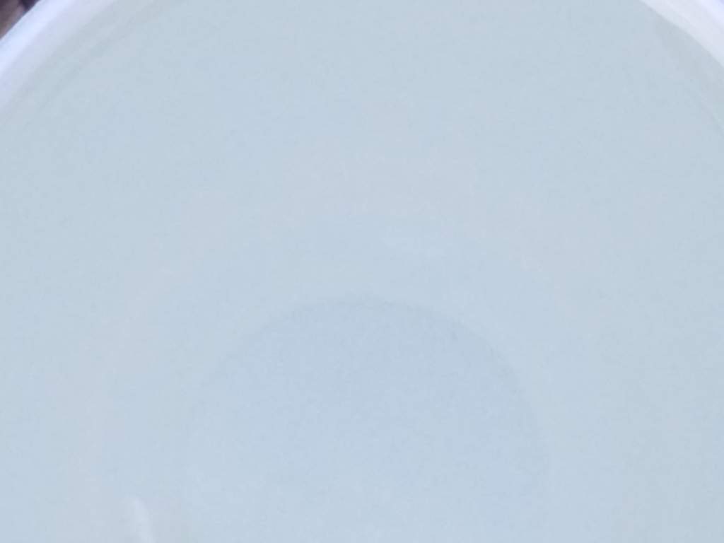 20160720_102006_001.jpg