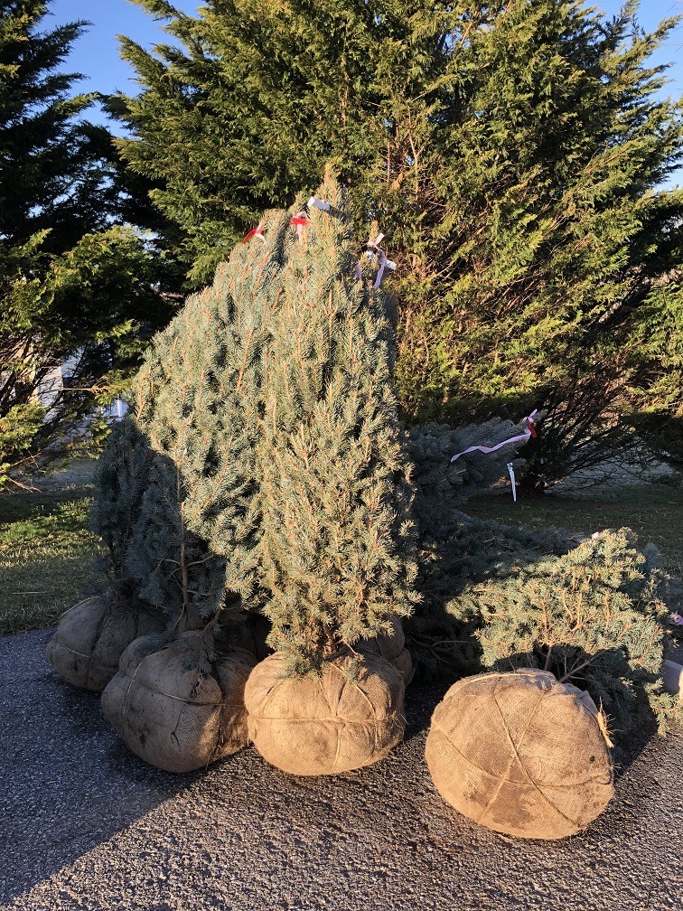 2019-03-28 07.53.51 Resized.jpg