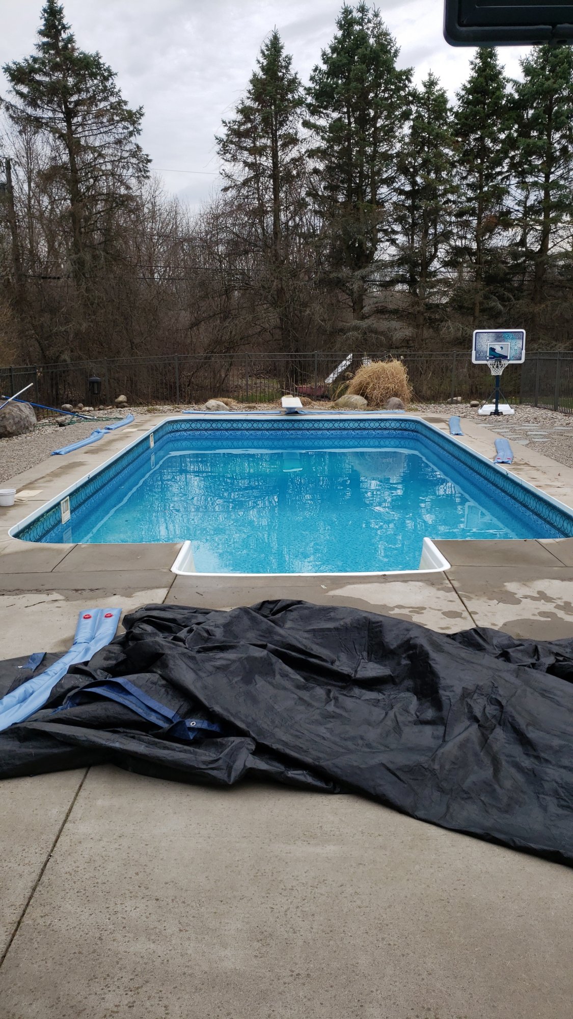 2019 pool open angle.jpg