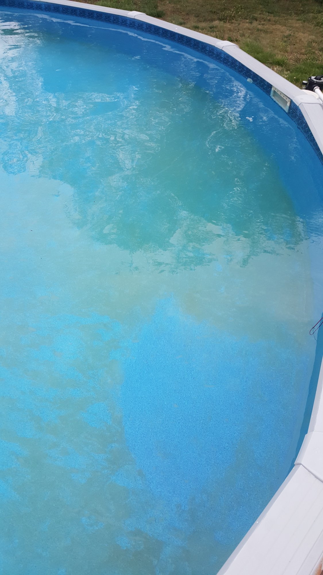 20190502_072617.jpg