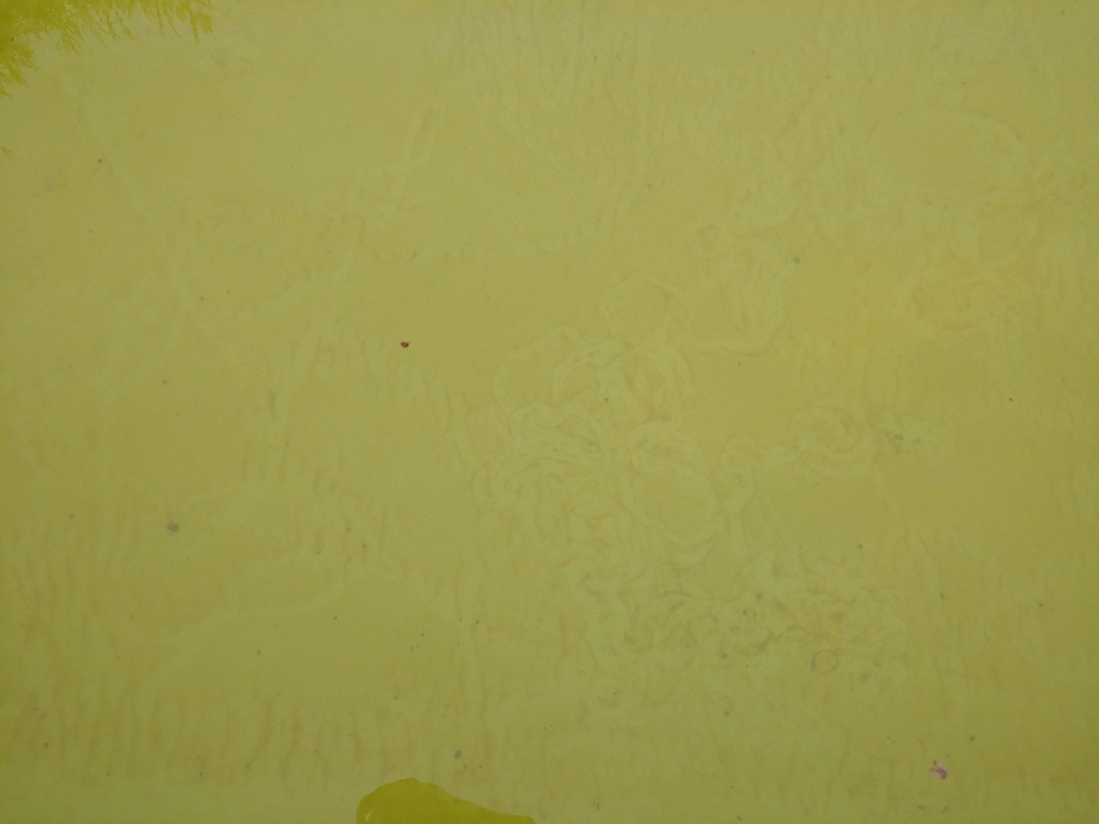 20190502_172401_resized copy.jpg