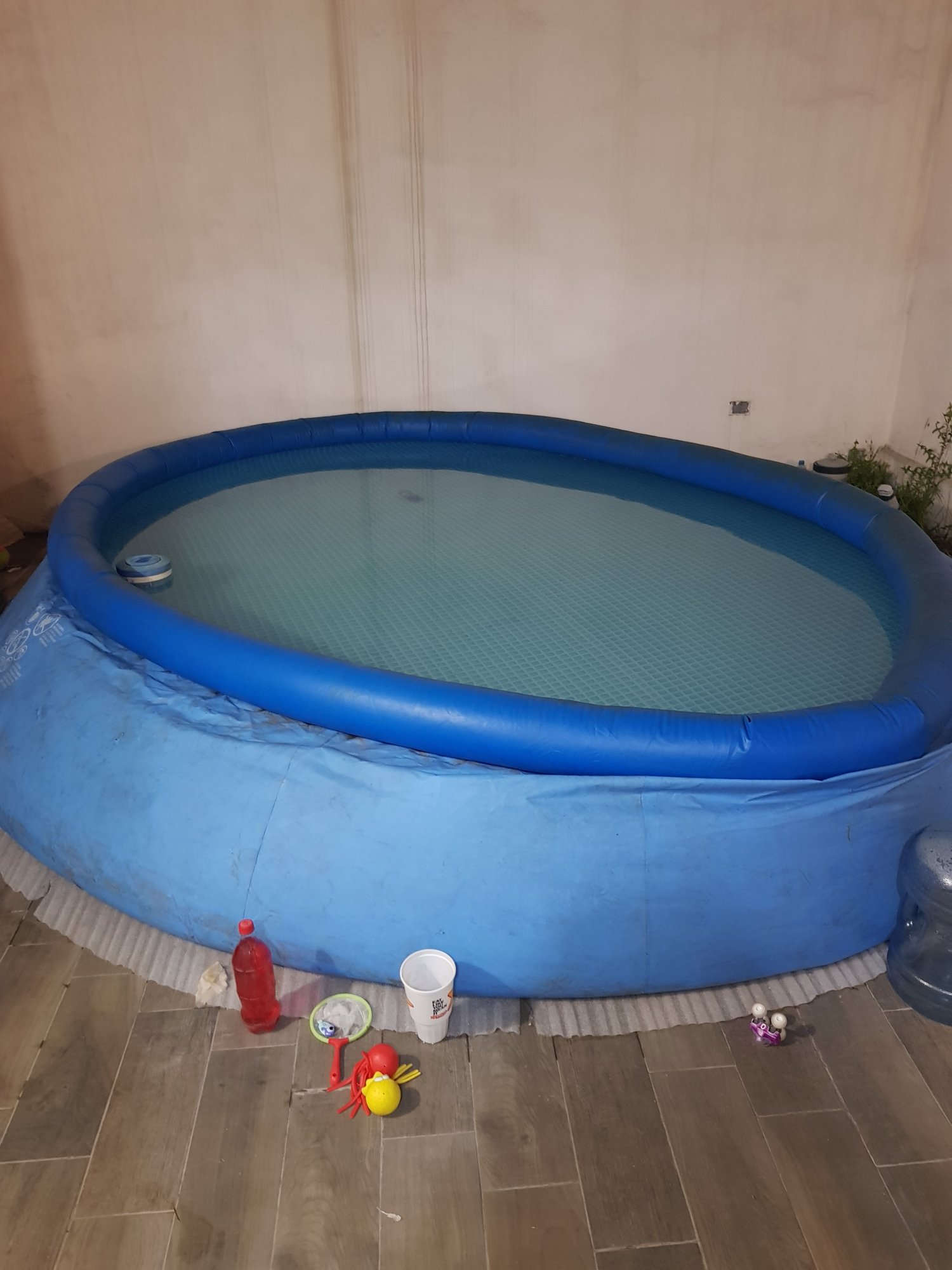20190503_004310.jpg