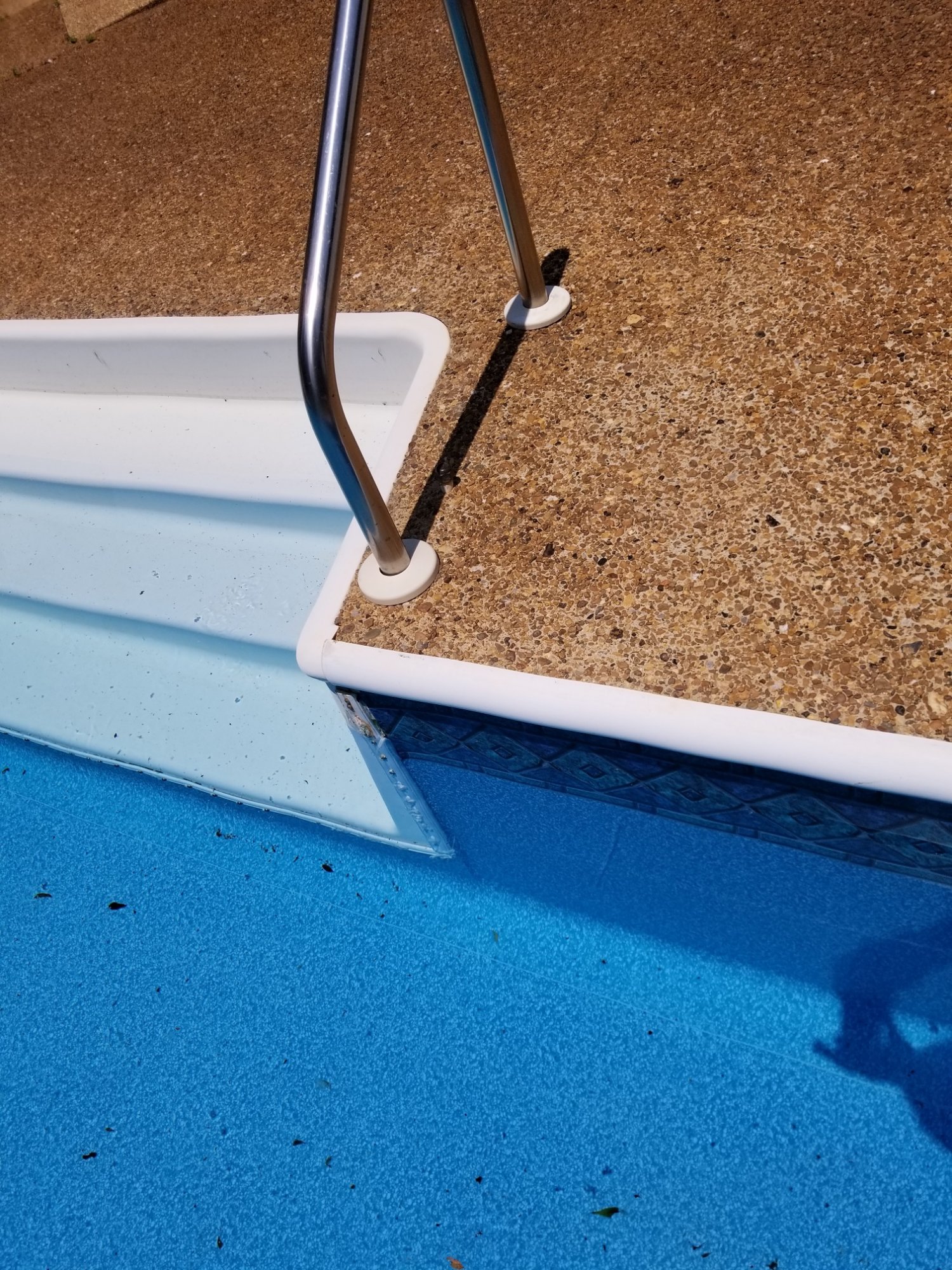 20190601_114136.jpg