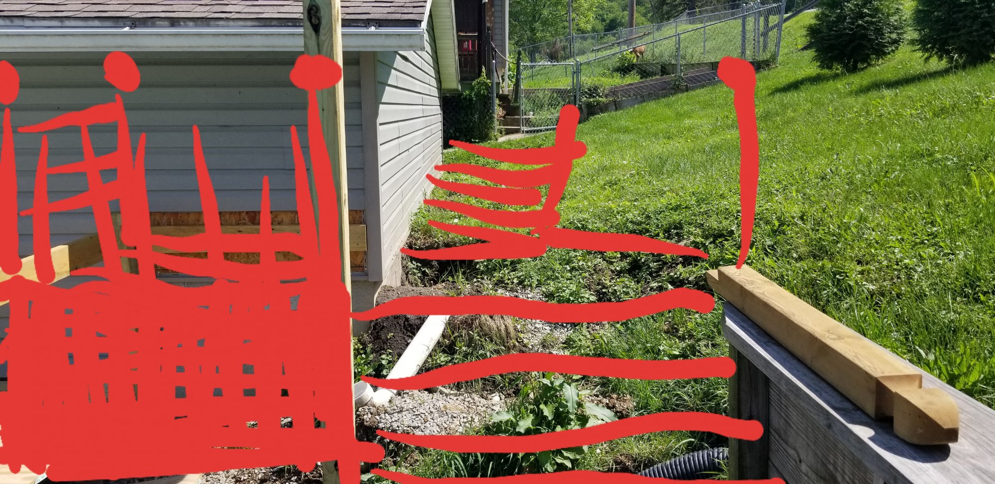 20190601_235255.jpg