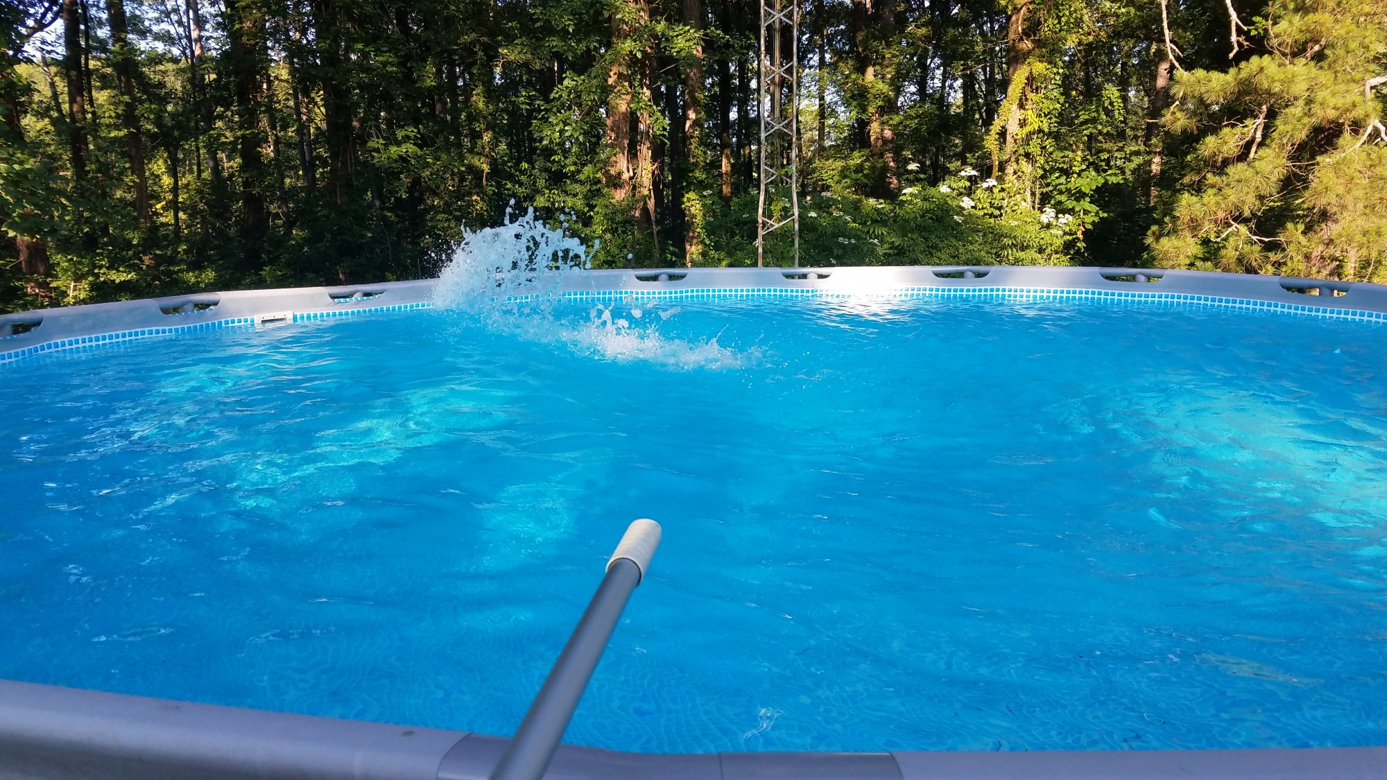 20190608_074257.jpg