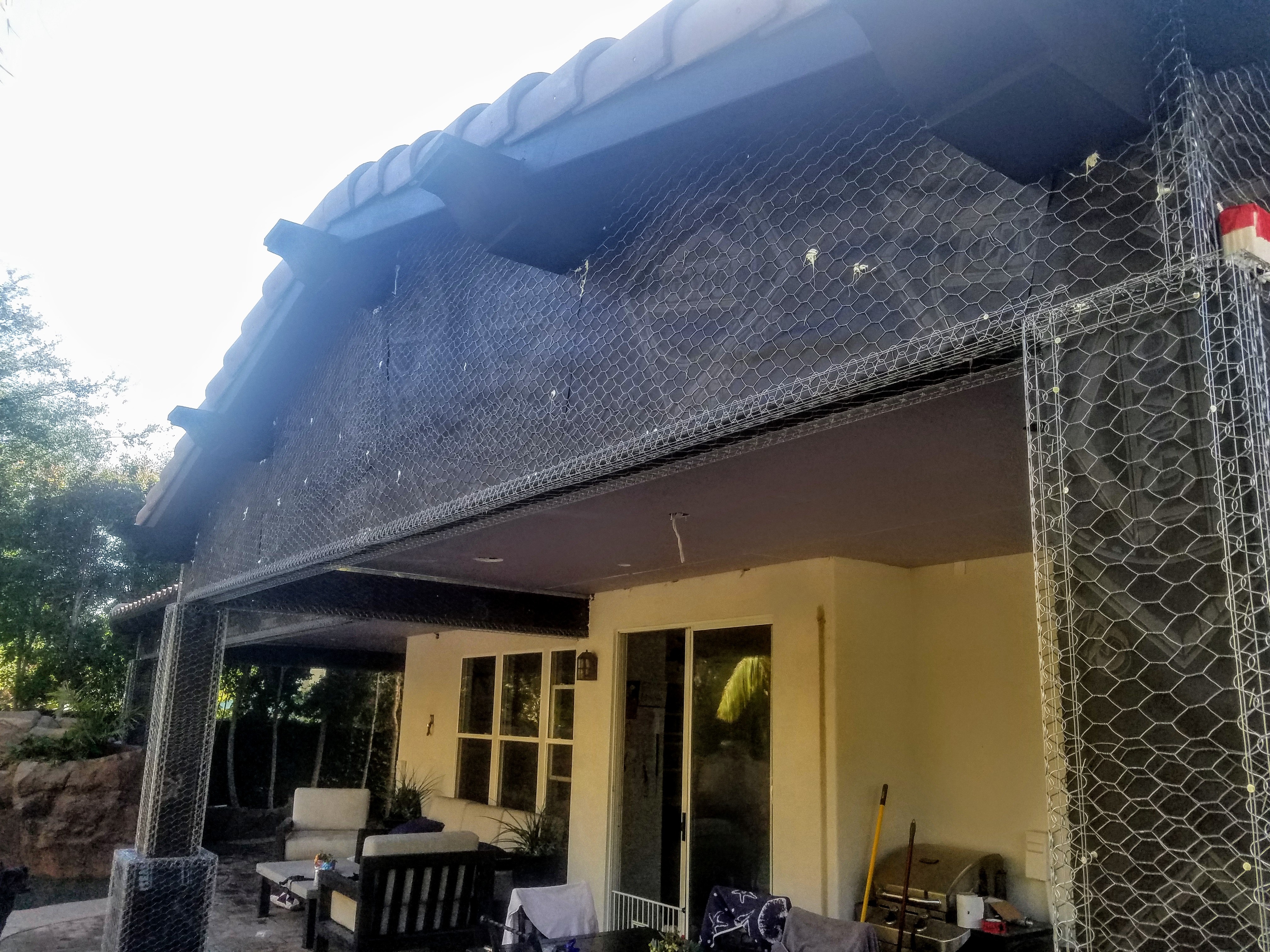 20190614_165047.jpg