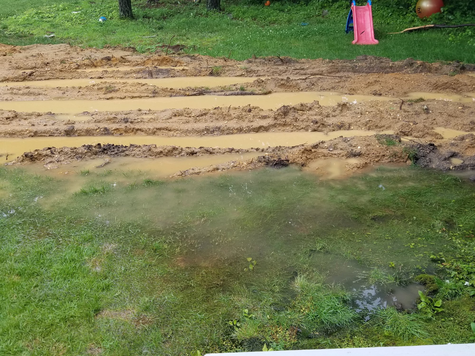 20190620_180521.jpg