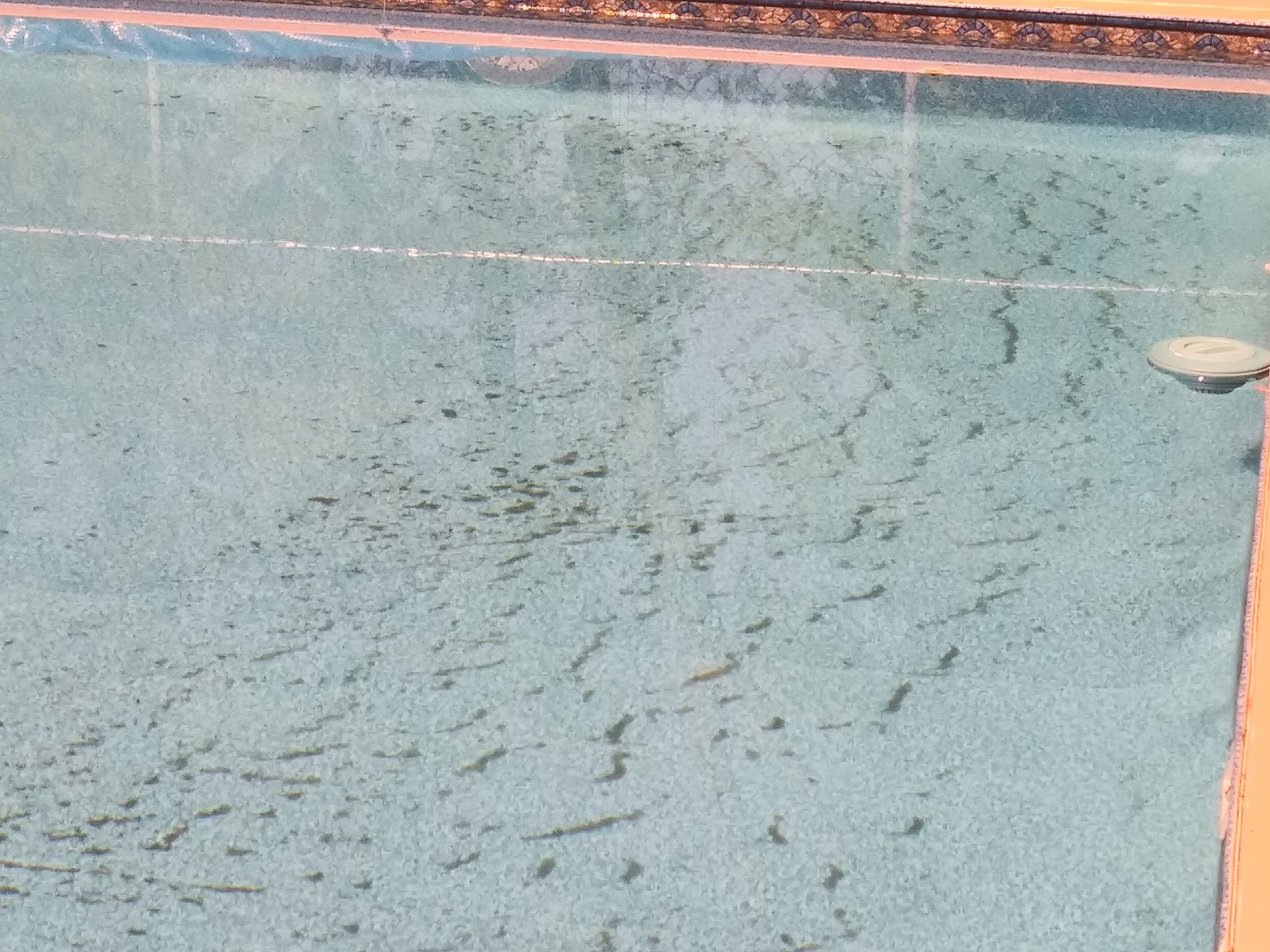 20190623_103908.jpg