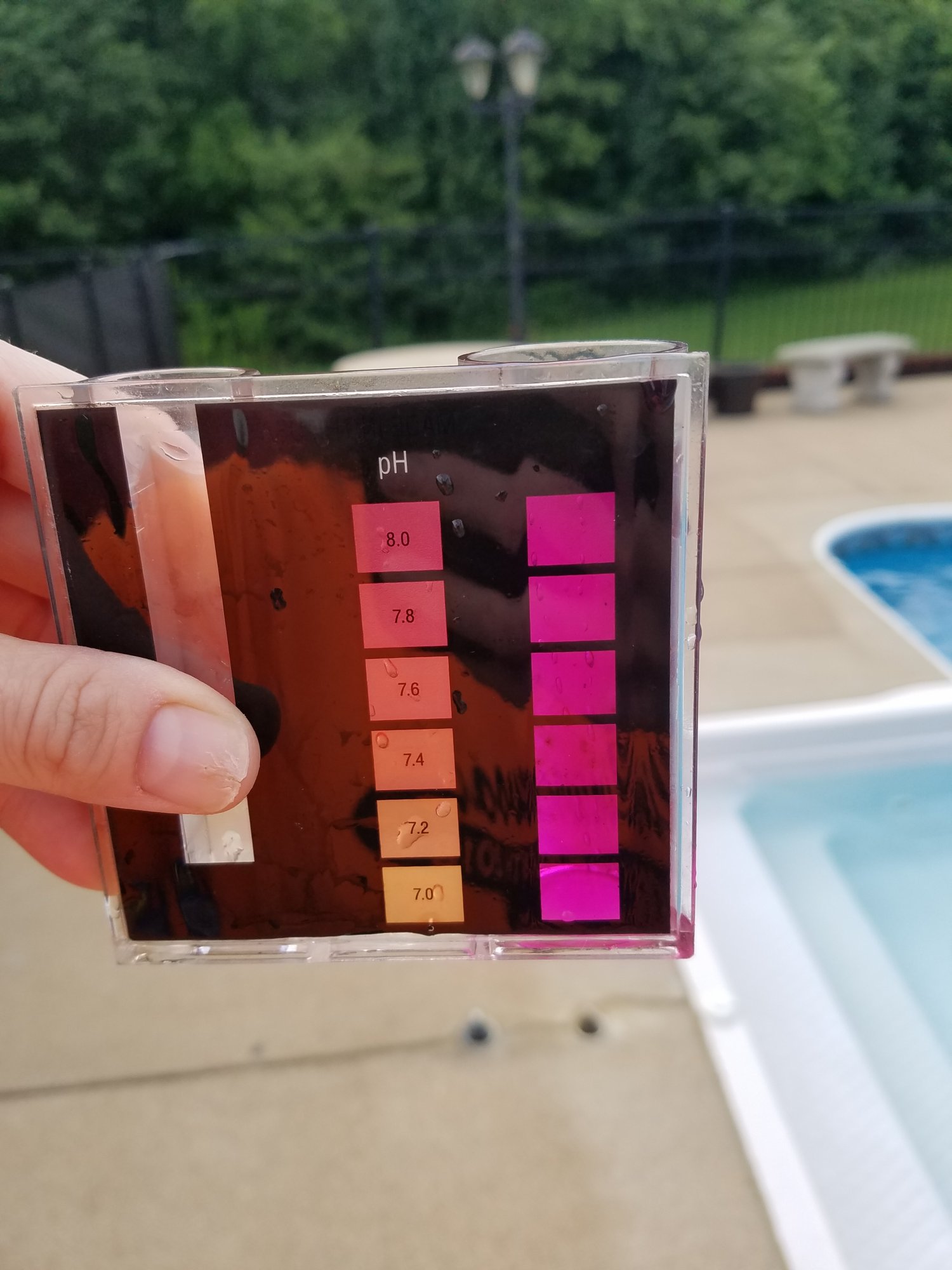 20190624_162311.jpg