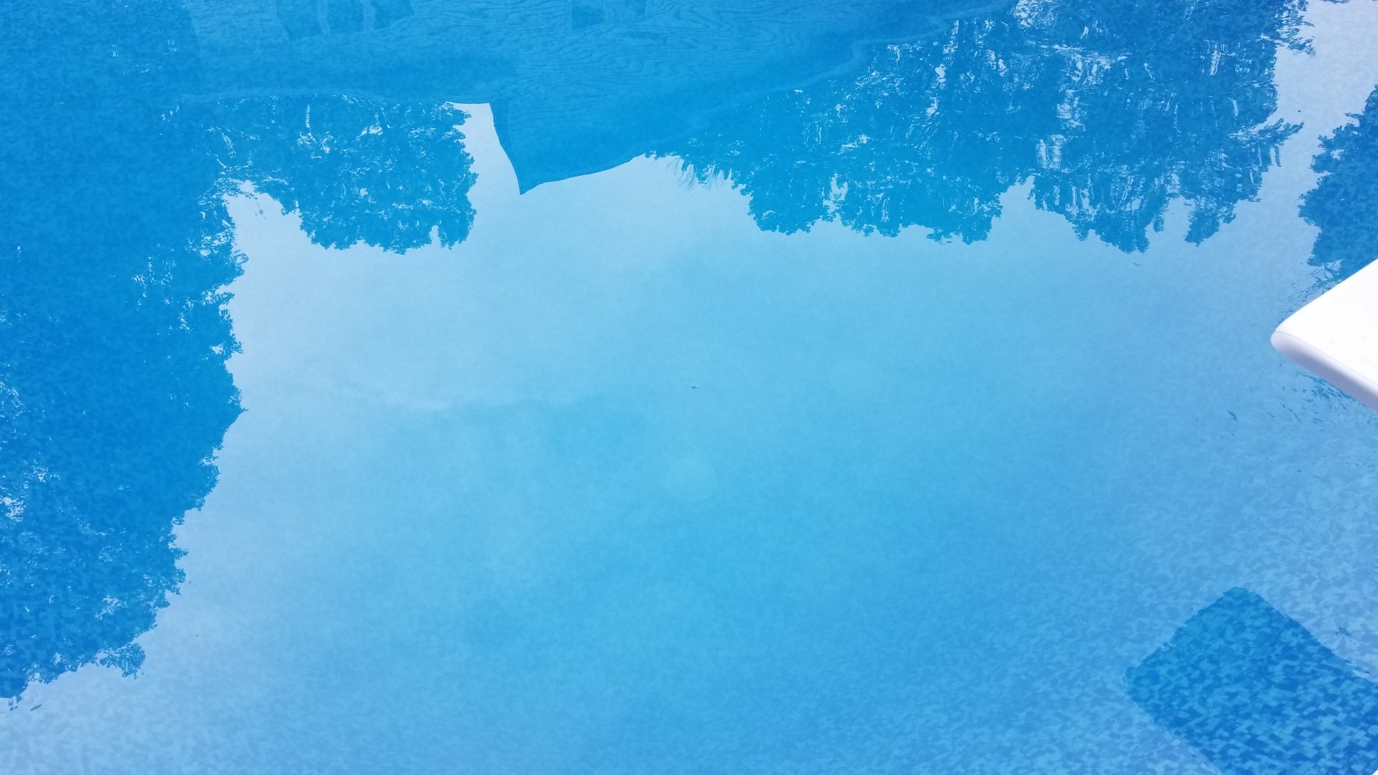 20190717_080536.jpg