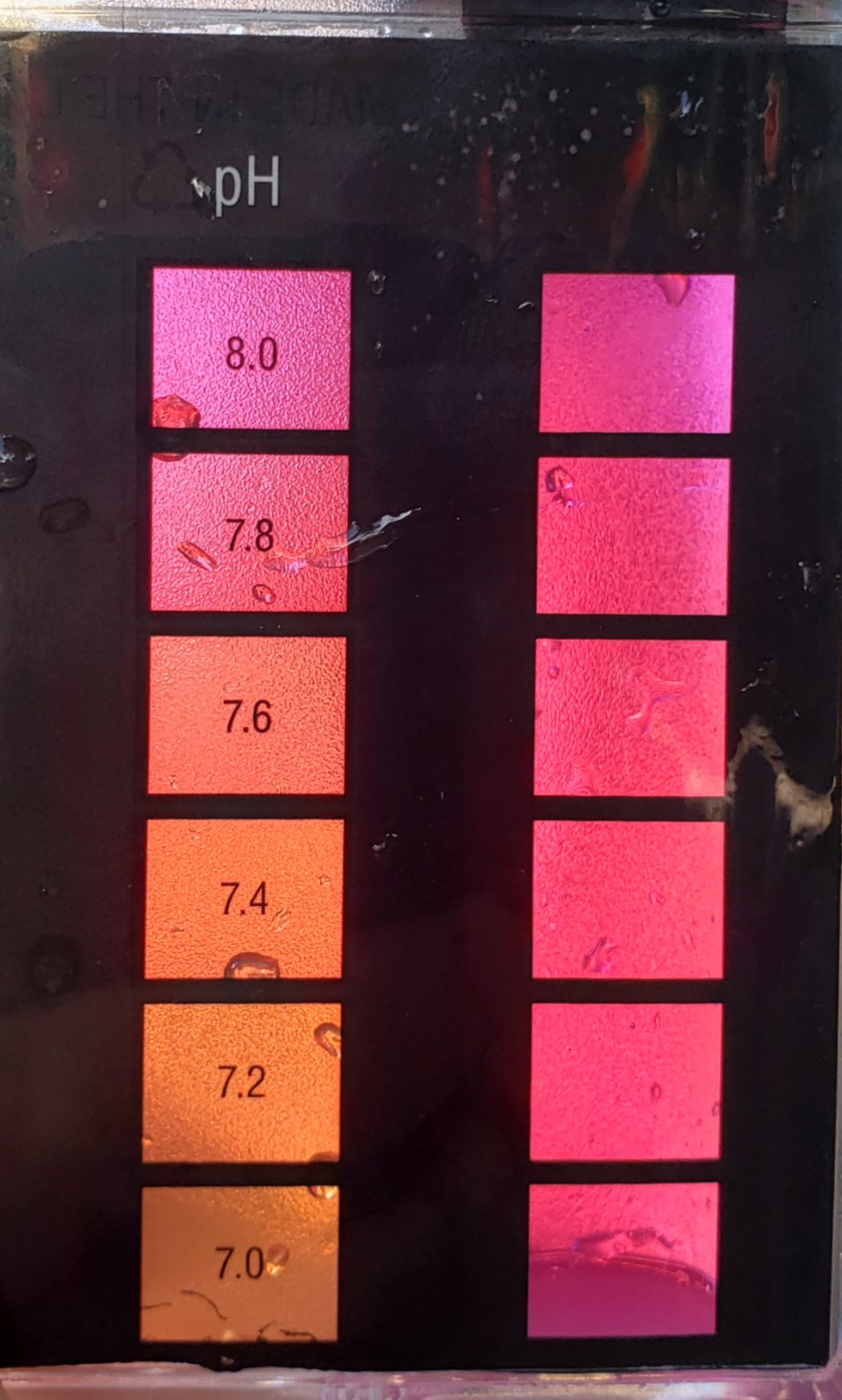 20190820_184324.jpg